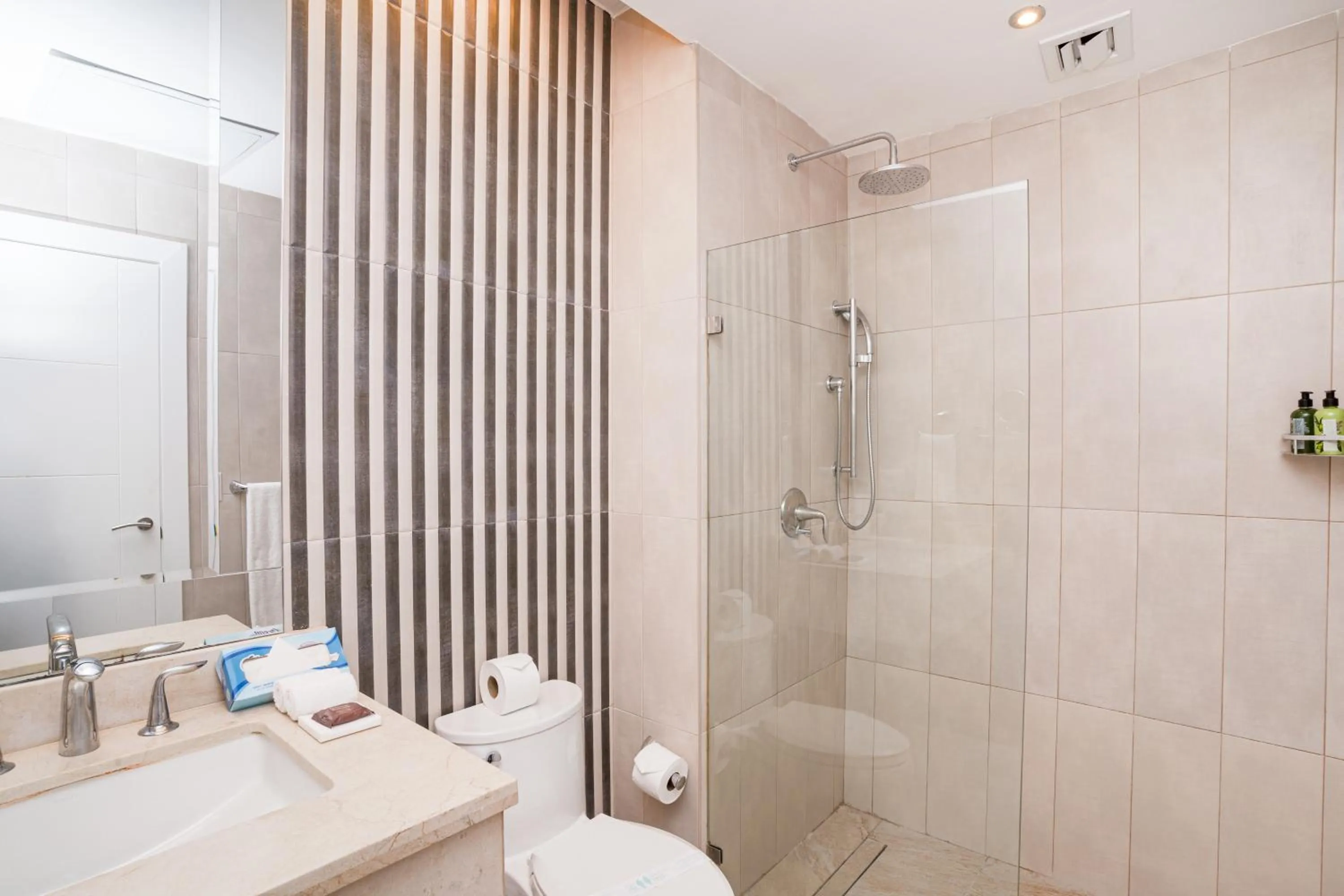 Bathroom in Bakour Punta Cana Suites