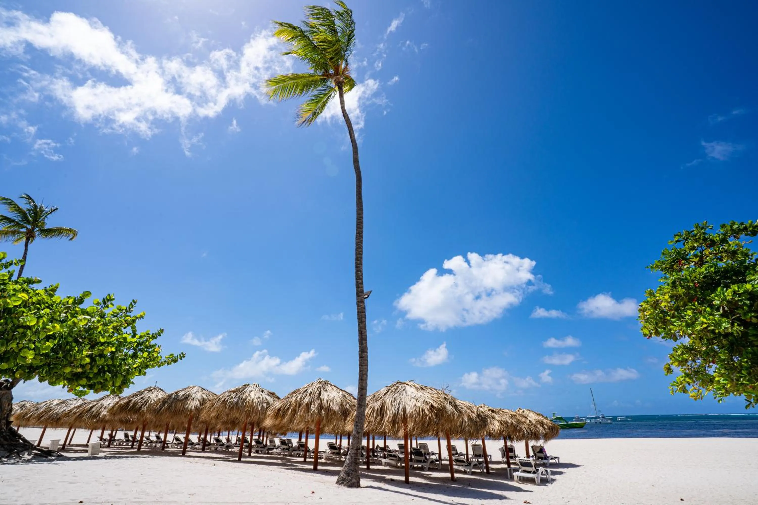 Beach in Bakour Punta Cana Suites