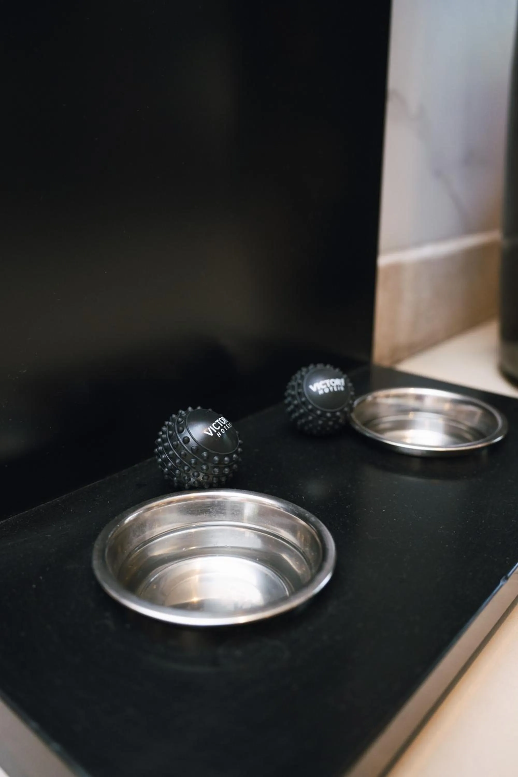 Pets in Victory Business Hotel