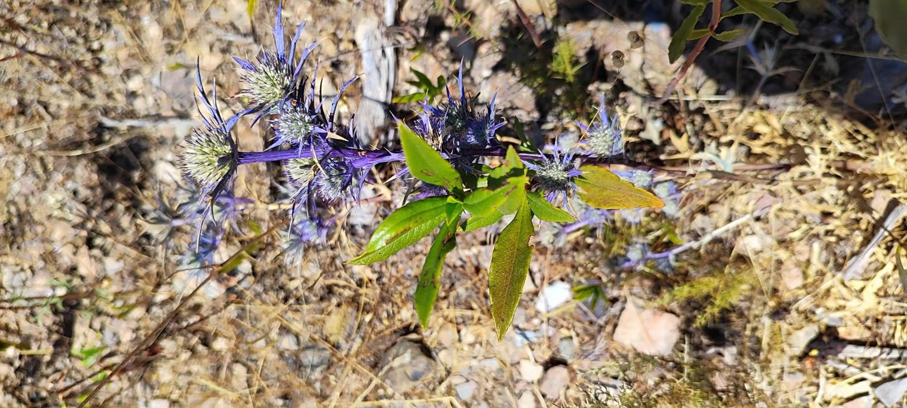 Nave Redonda do Cerro – Countryside & Nature