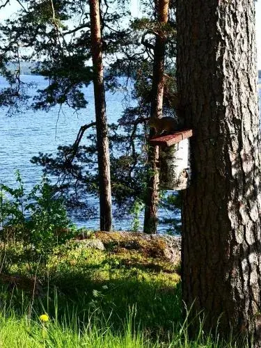 Club House Hotelli Kaipolan Ranta Club House Hotelli Kaipolan Ranta