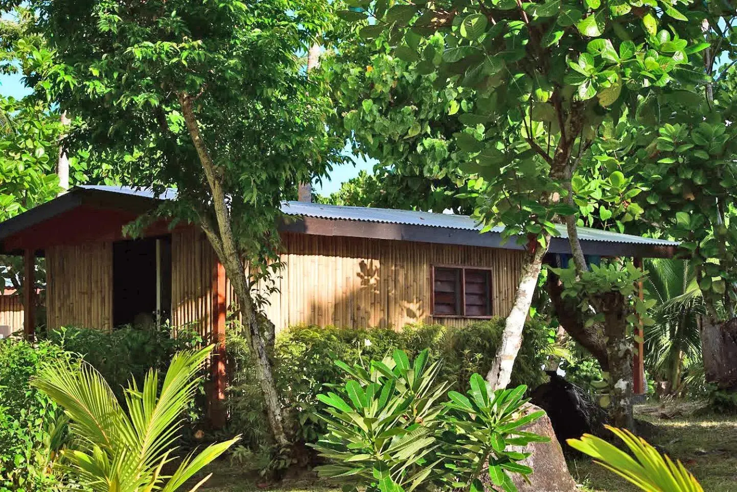 Photo of the whole room in Maqai Beach Eco Resort Photo of the whole room in Maqai Beach Eco Resort