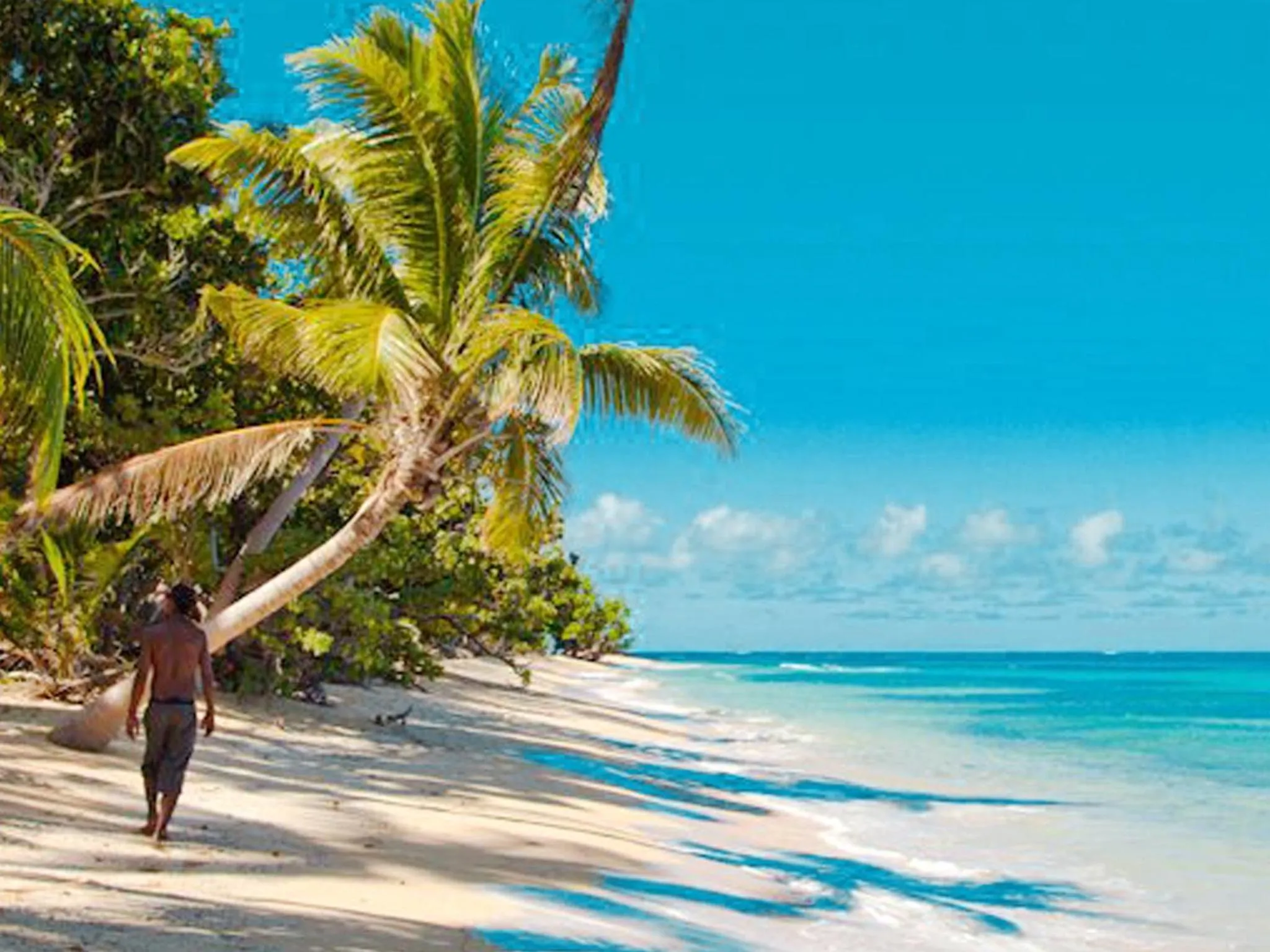 Beach in Maqai Beach Eco Resort