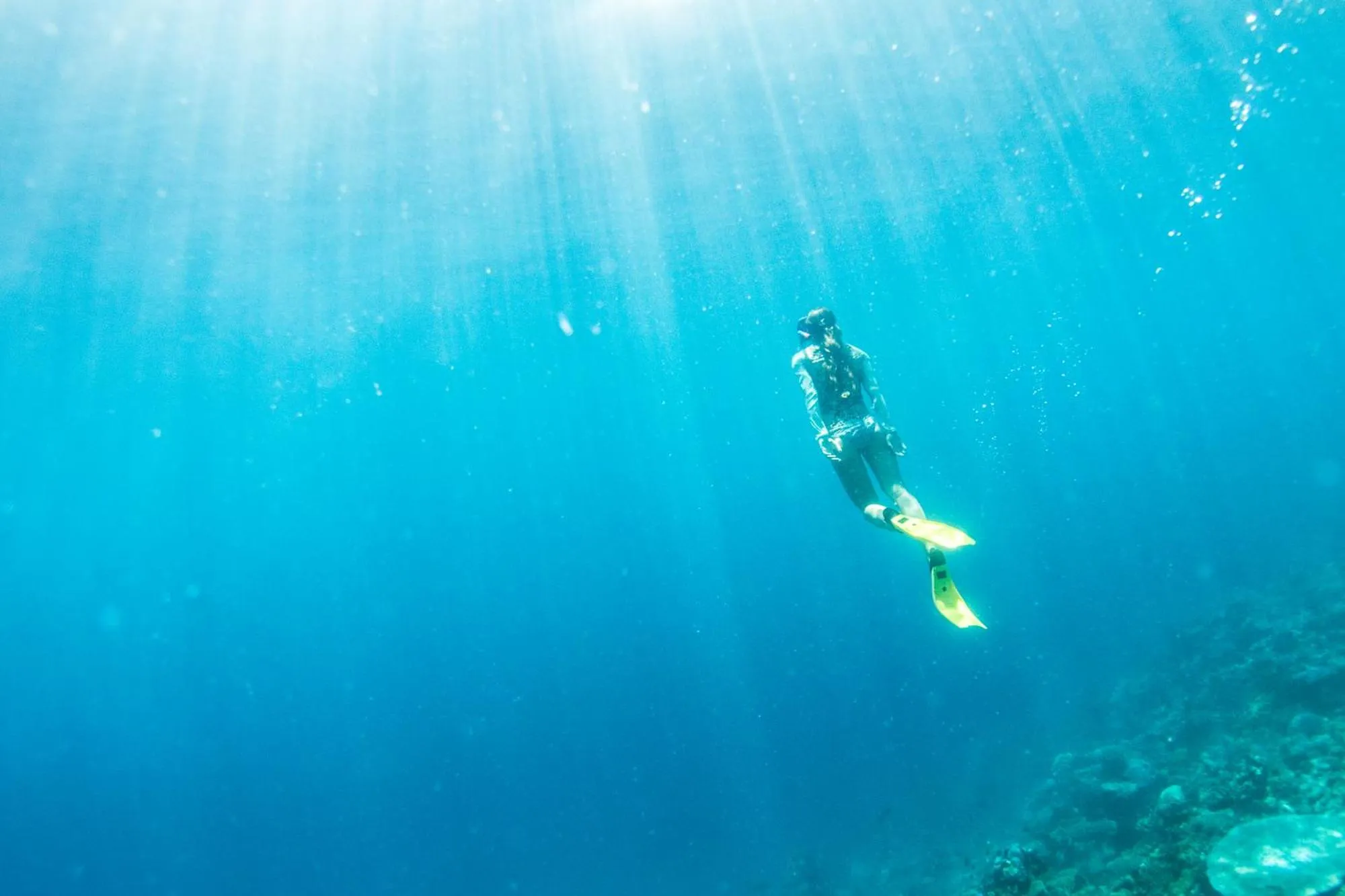 Snorkeling in Maqai Beach Eco Resort