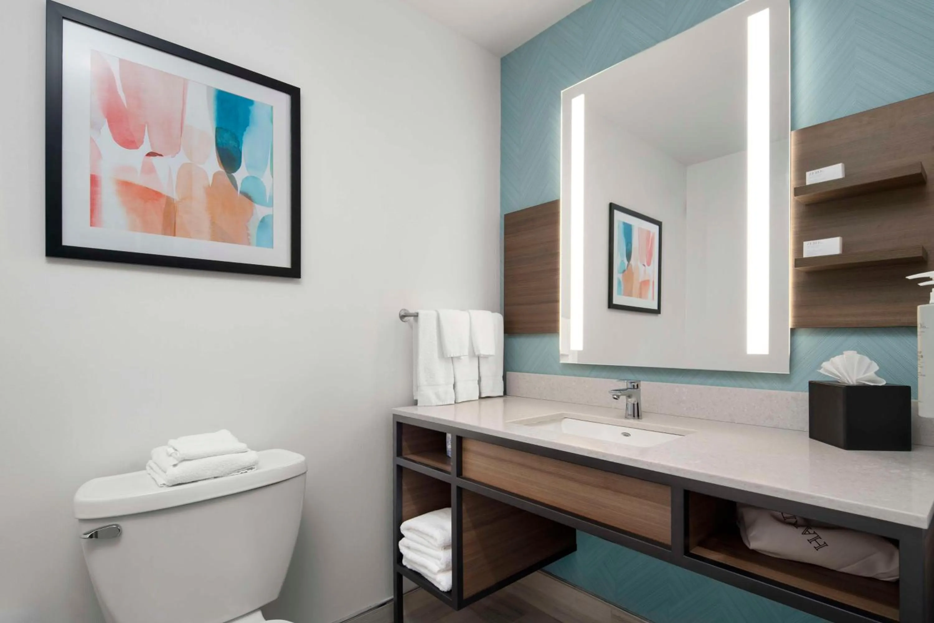 Bathroom in Hilton Garden Inn Kennett Square