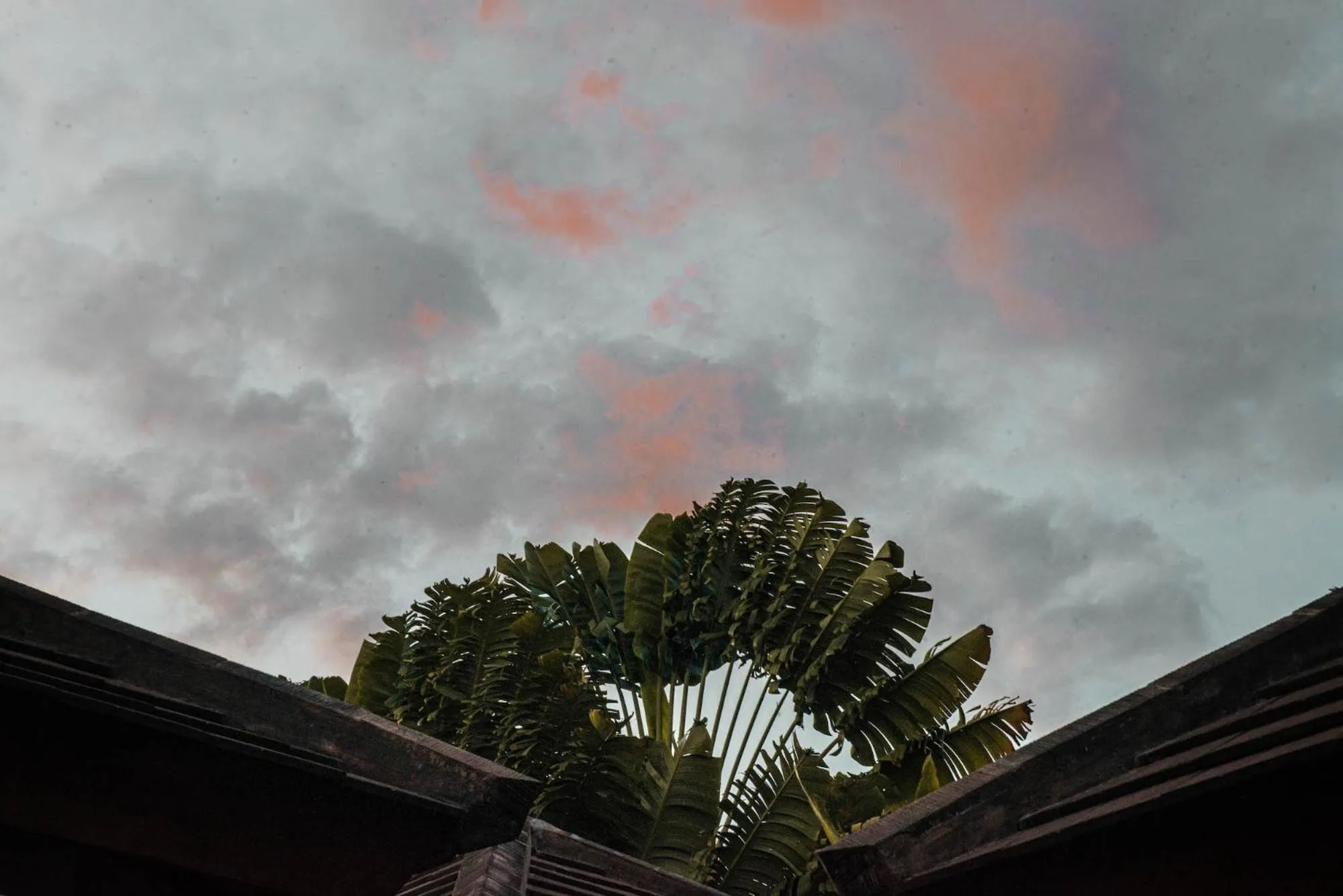 Area and facilities in My Villas In Bali