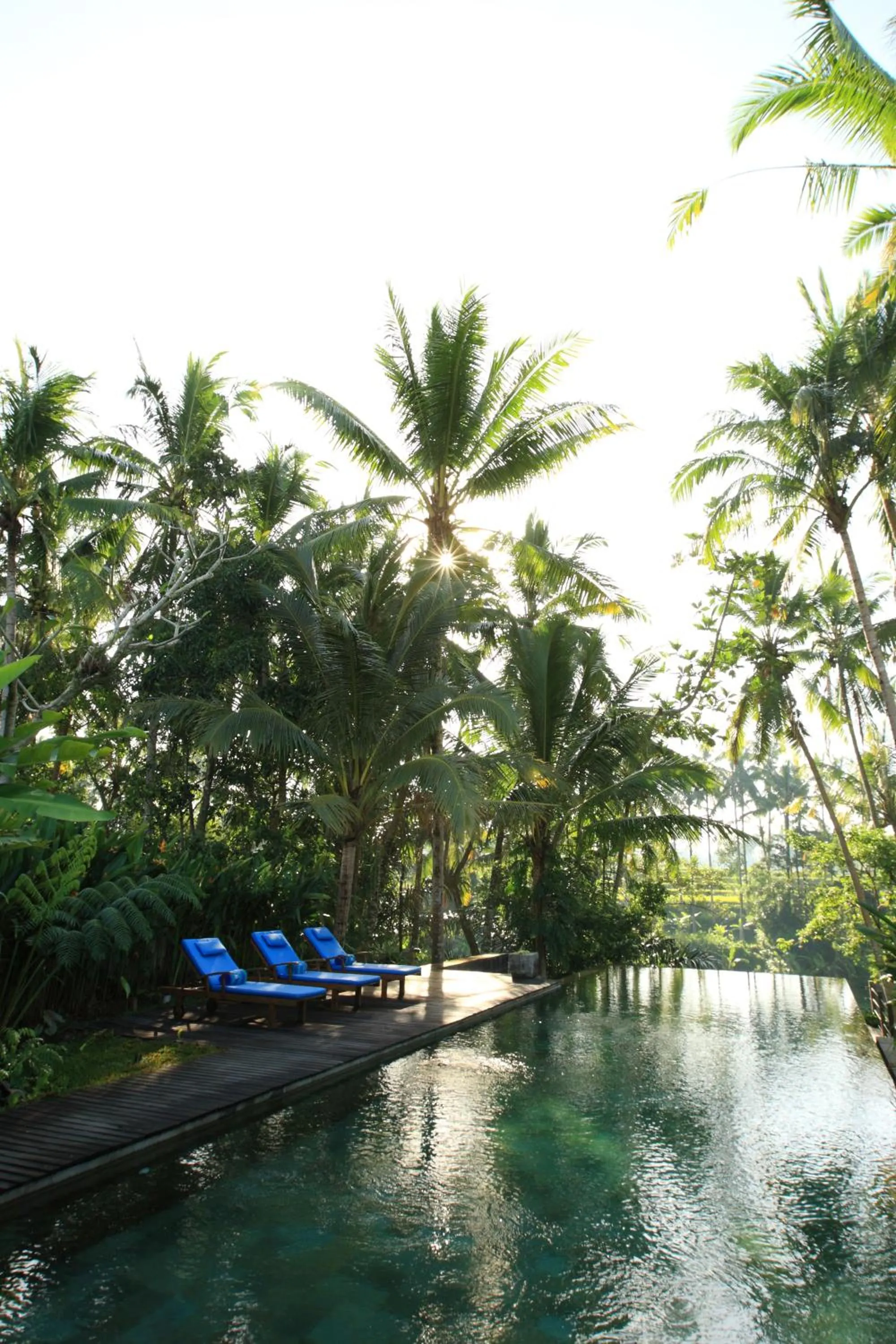 Swimming pool in Swarapadi Villa