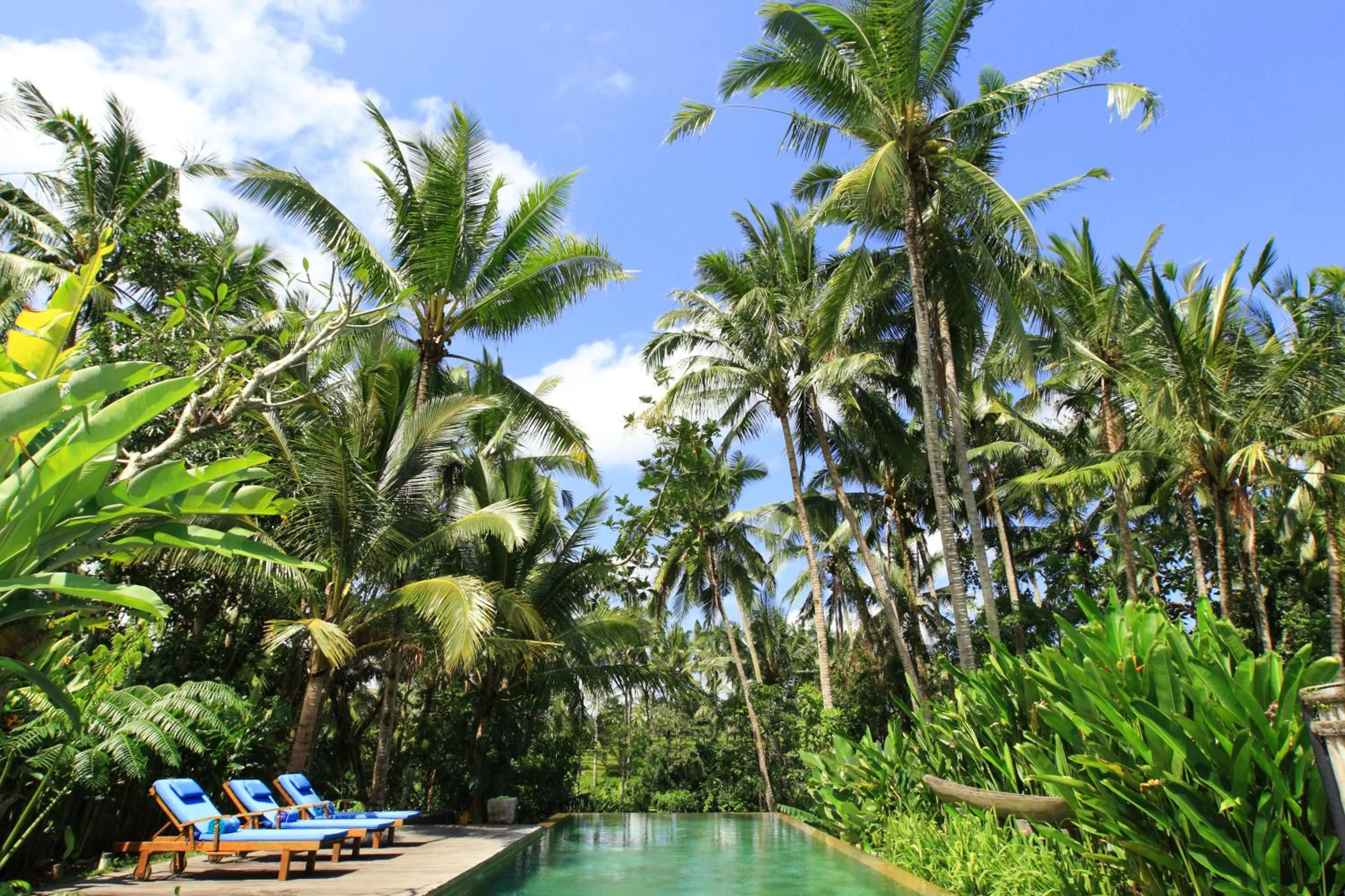 Garden in Swarapadi Villa
