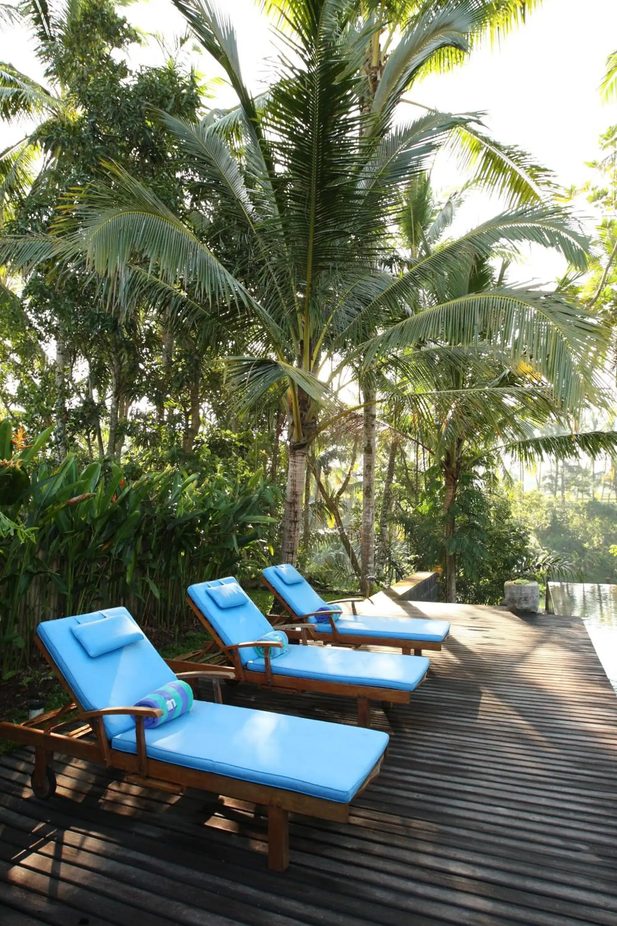 Swimming pool in Swarapadi Villa Swimming pool in Swarapadi Villa