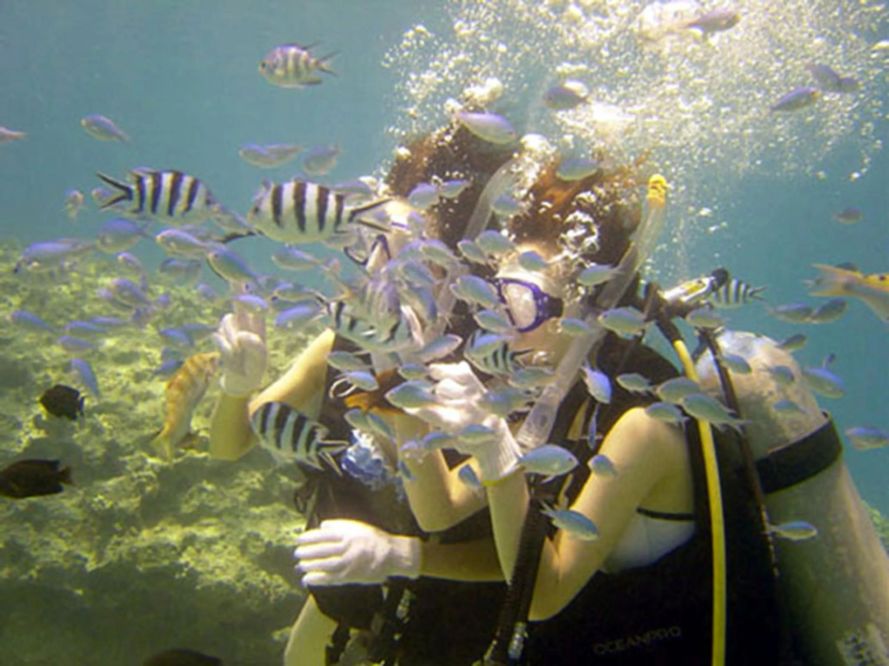 Diving in Hotel Hamahigashima Resort