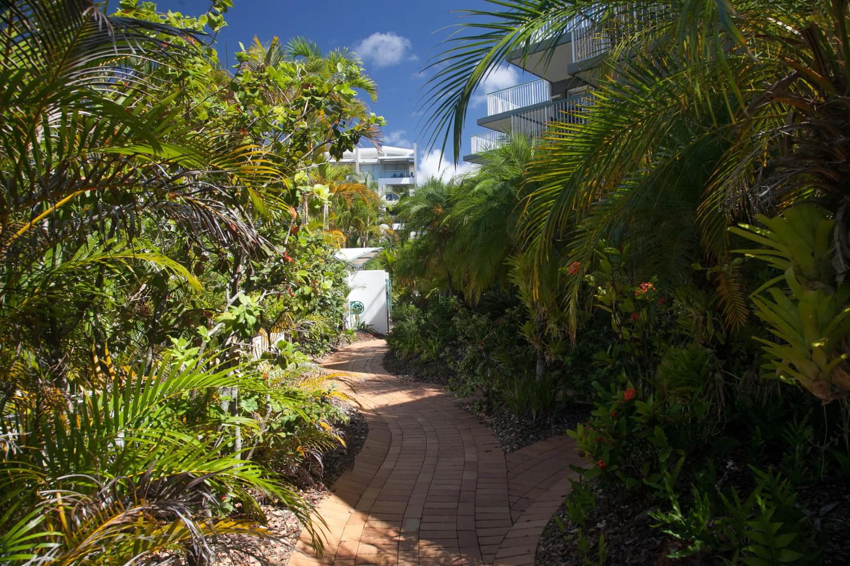 Garden in Dockside Apartments Mooloolaba