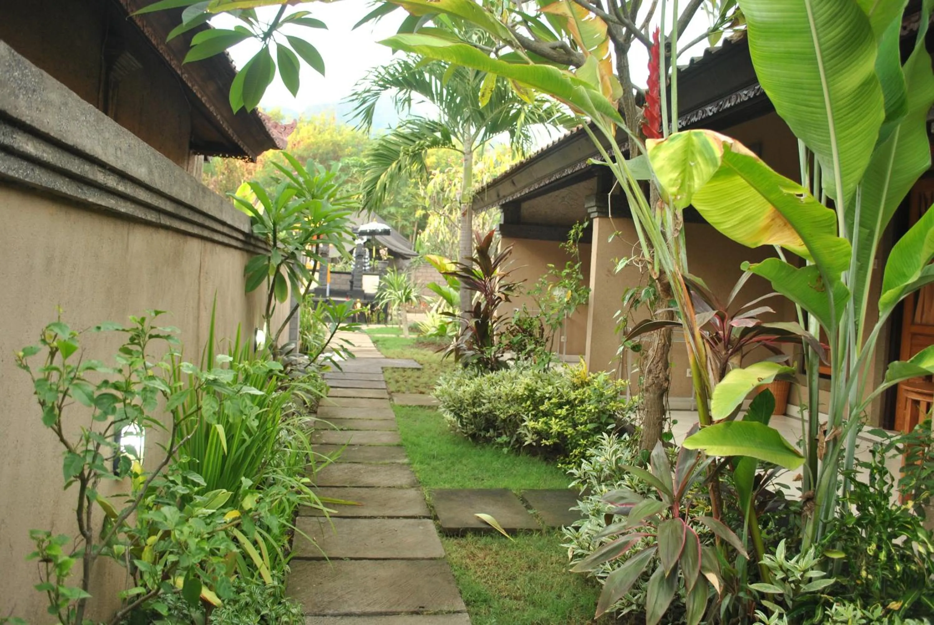 Garden in Trijaya Guest House Pemuteran