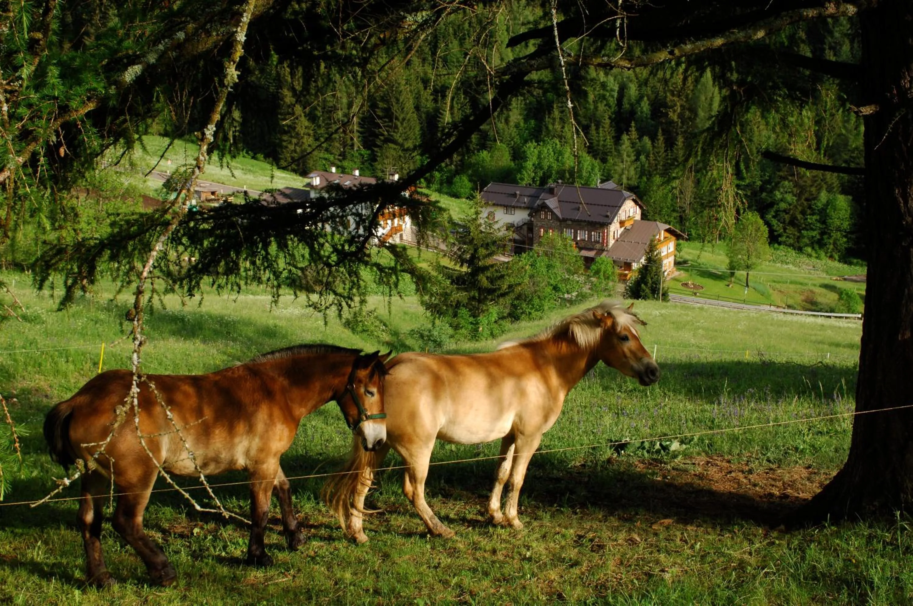 View (from property/room) in Small & Lovely Hotel Zaluna