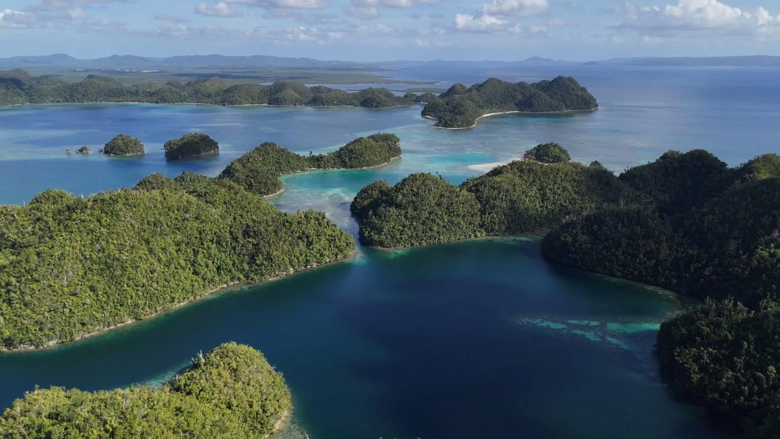 Natural landscape in Bamboo Surf Beach