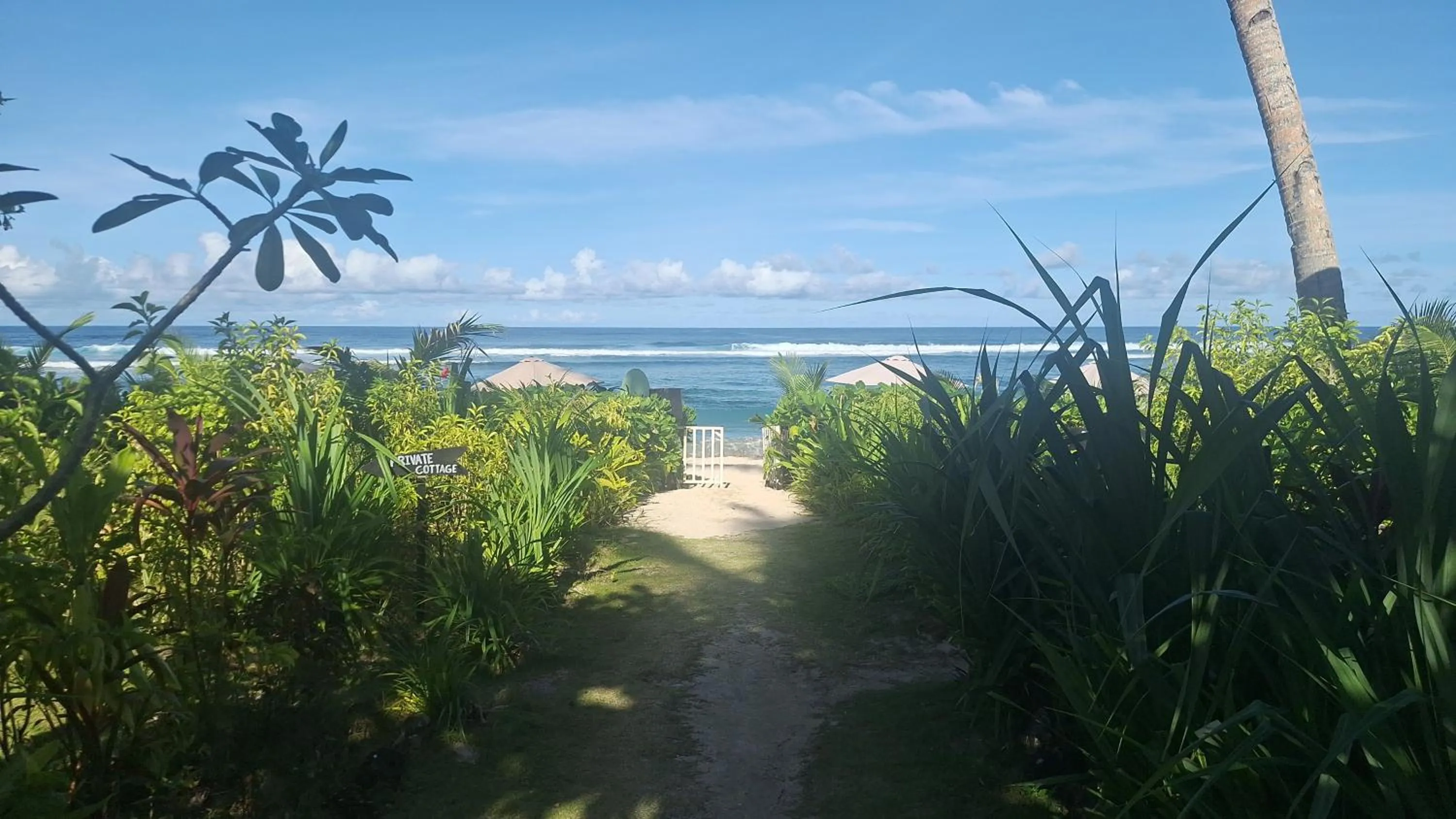 Beach in Bamboo Surf Beach