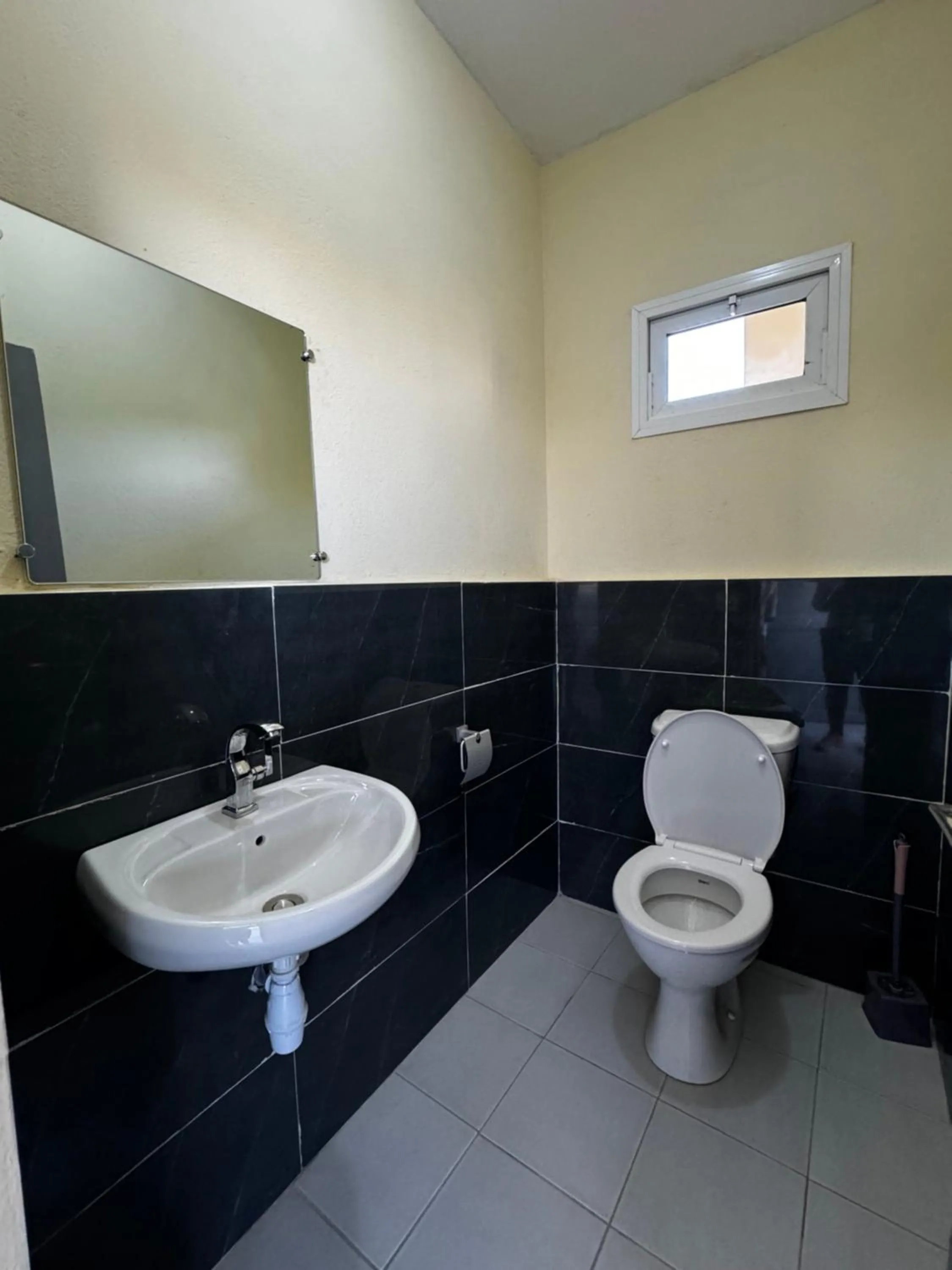 Toilet in Hôtel - Appartement meublé " LES FLOTS BLEU "