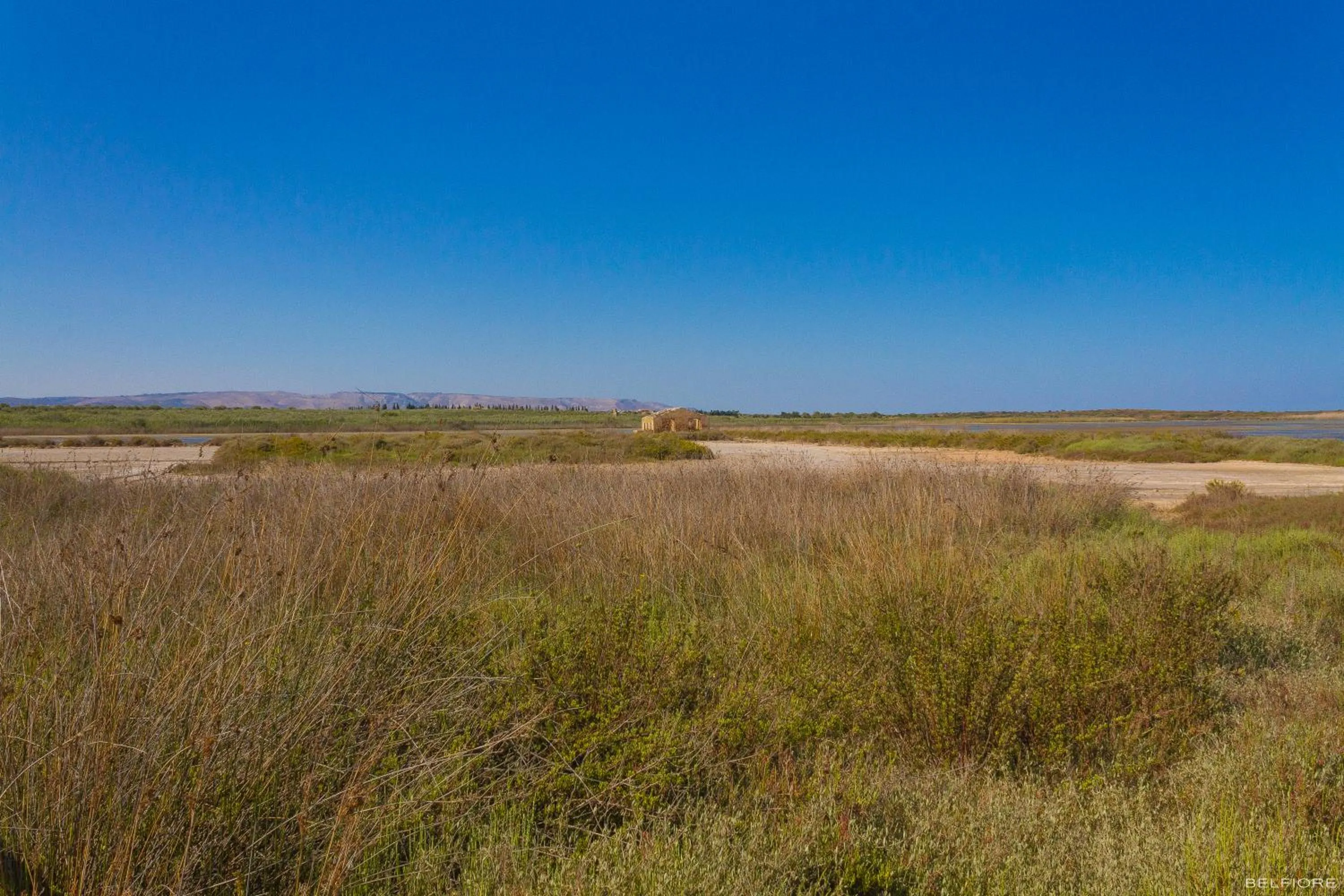 Off site in La Madonnina