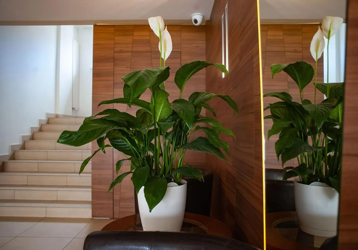 Property building in Hotel Livia