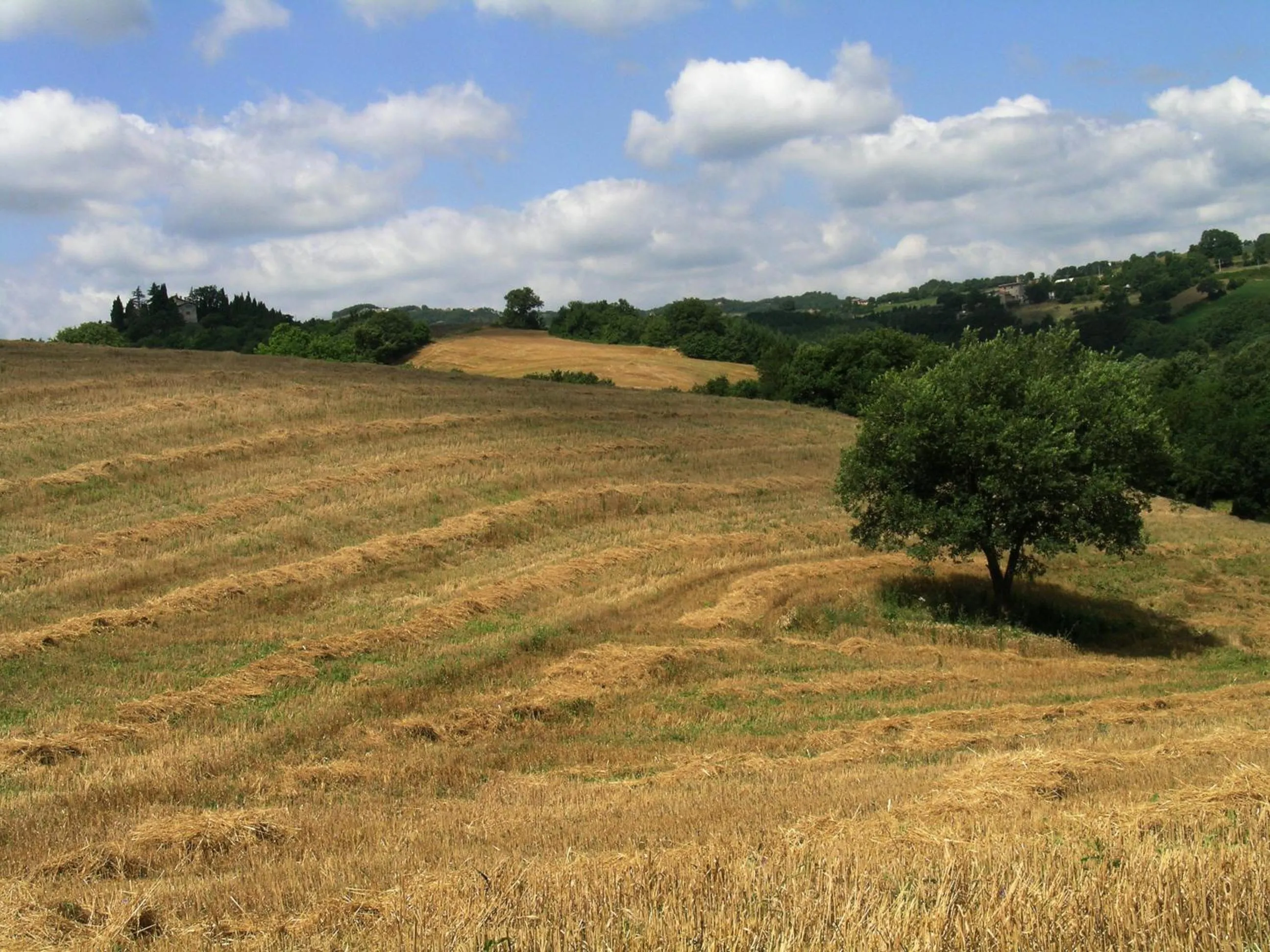 Azienda Agraria Montelujano