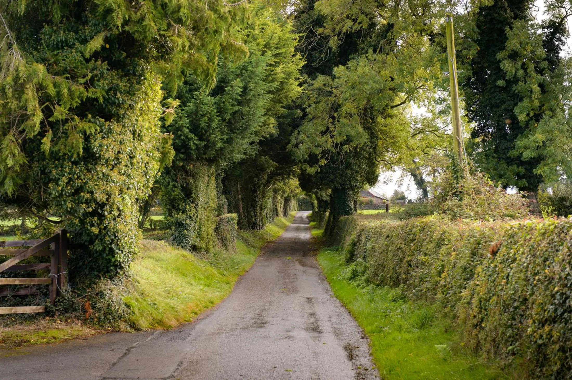 Natural landscape in Ballindrum Farm B&B