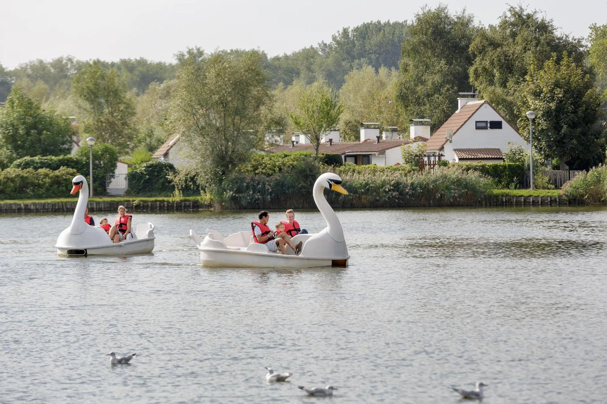 Activities in Sunparks Oostduinkerke - Plopsaland