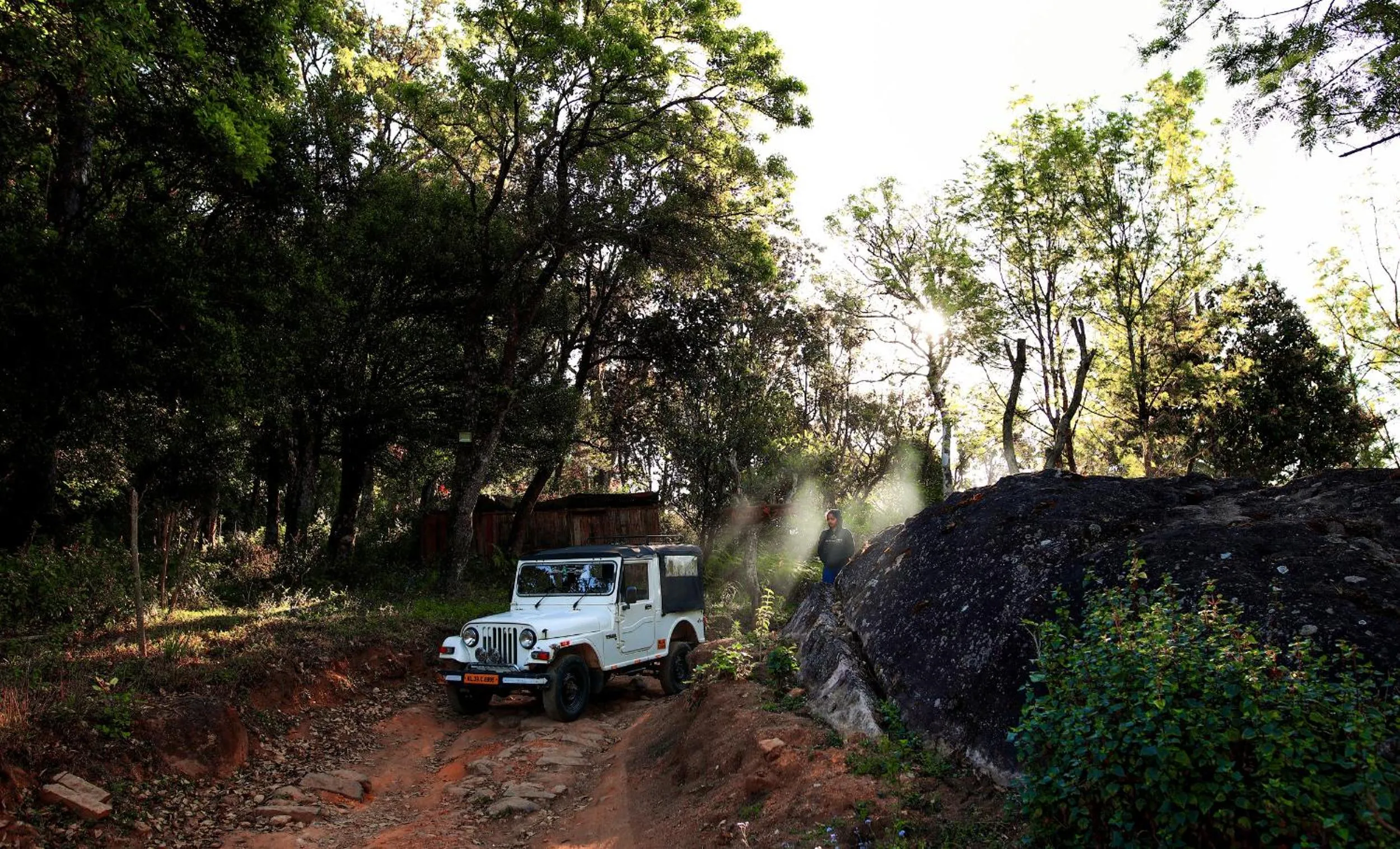 Nature Zone Jungle Resort- Experience the Wilderness & Adventure