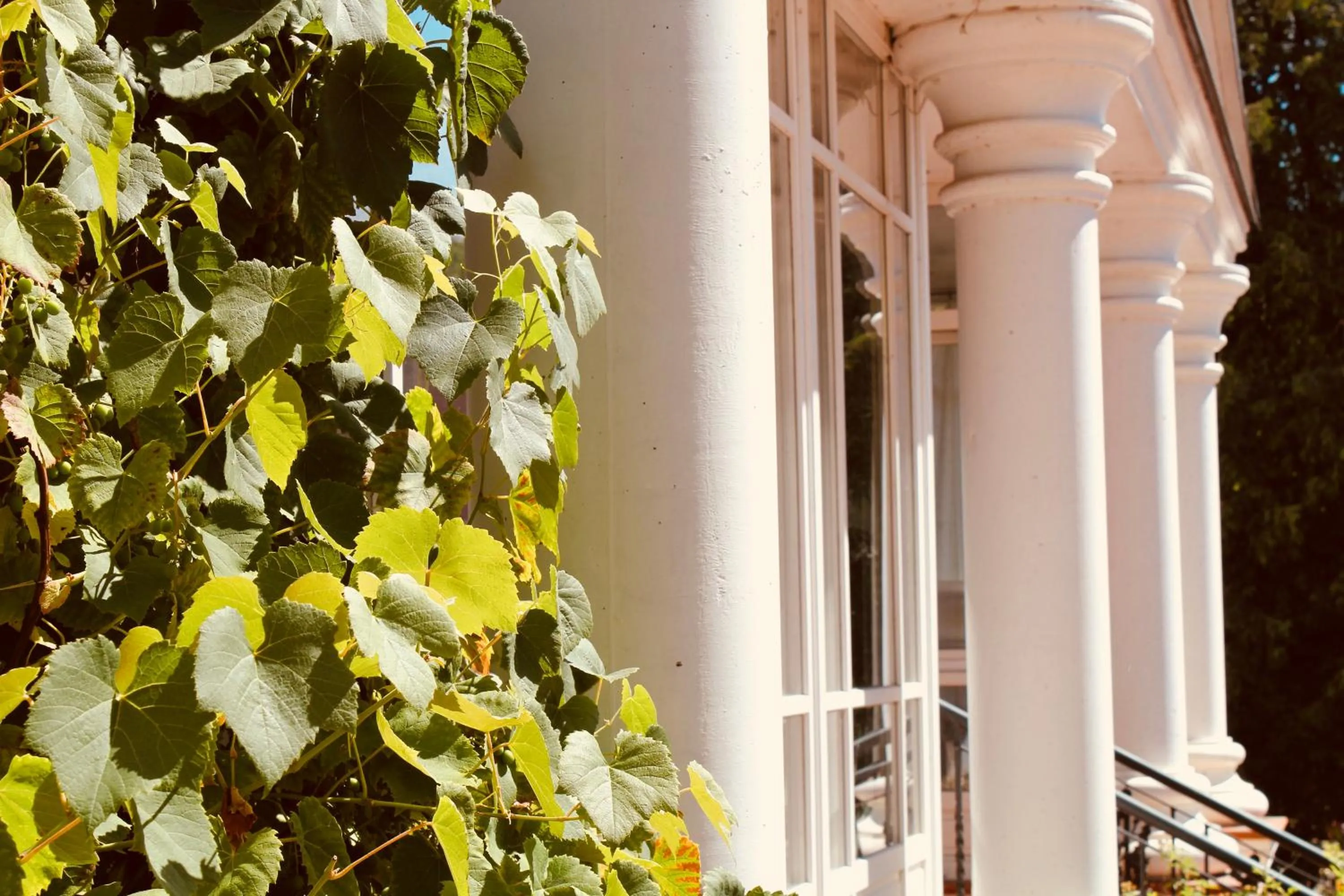 Facade/entrance in Bellevue Gastgeberei