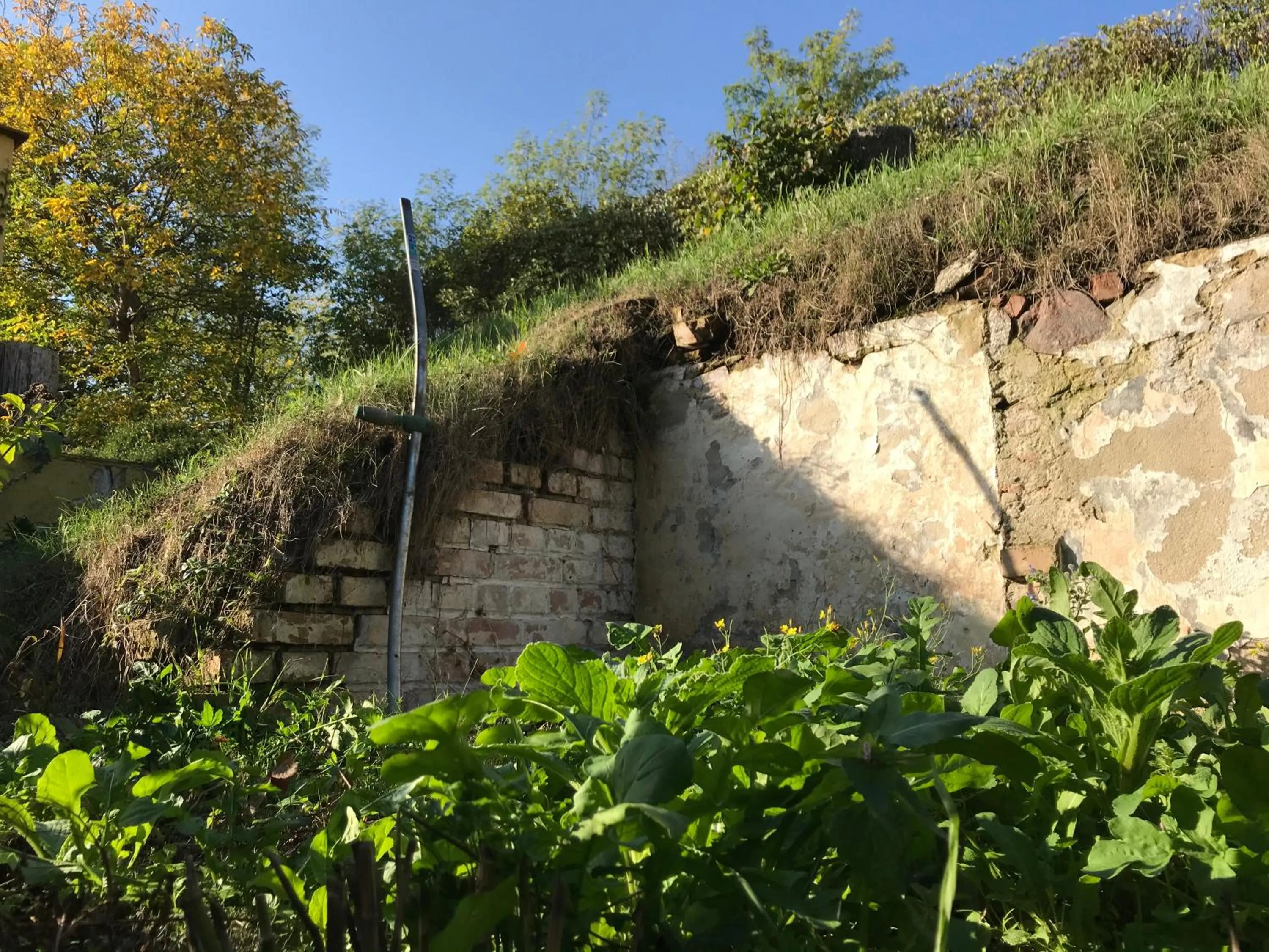 Garden in Bellevue Gastgeberei