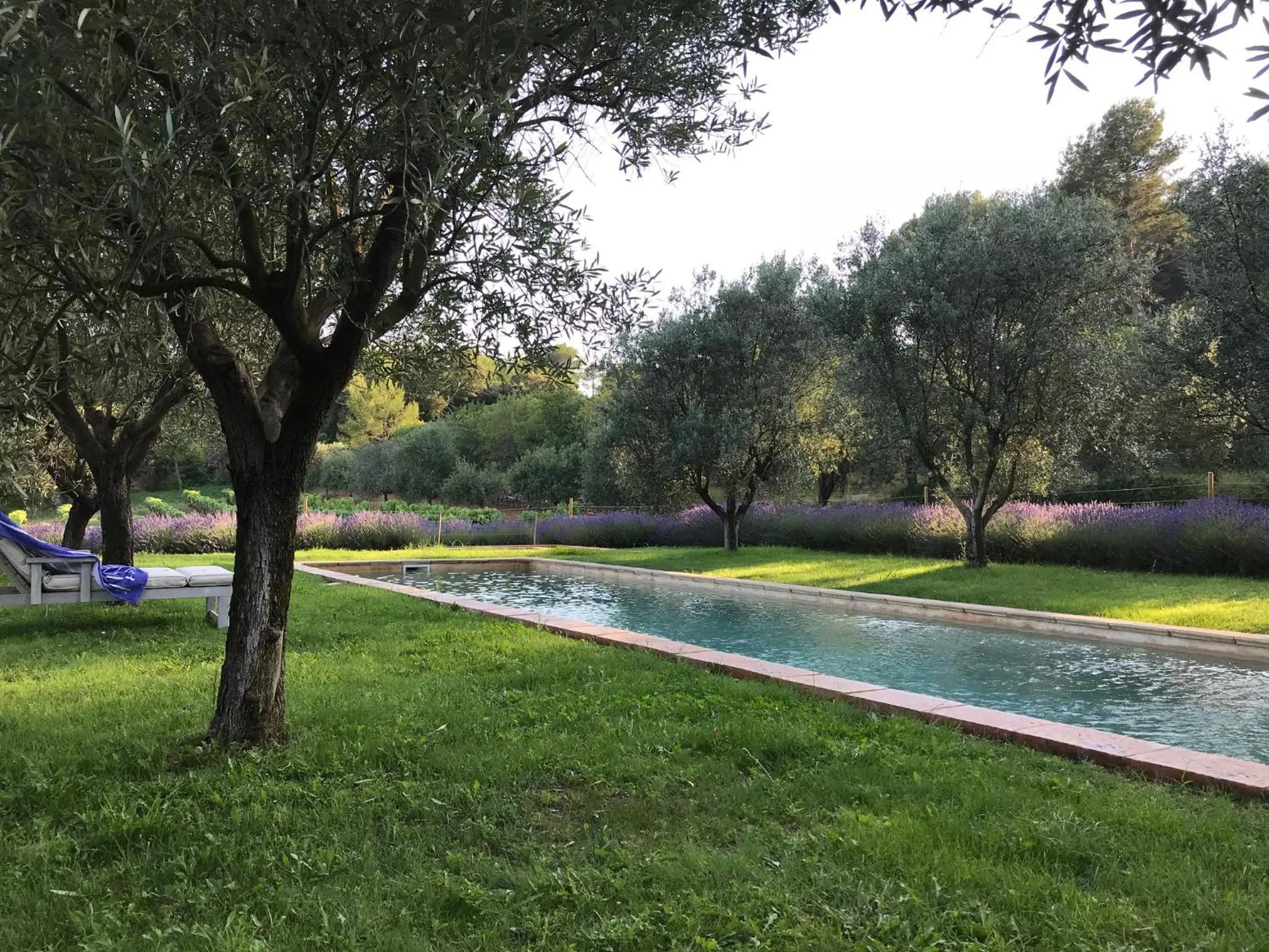 Pool view in Château de Berne