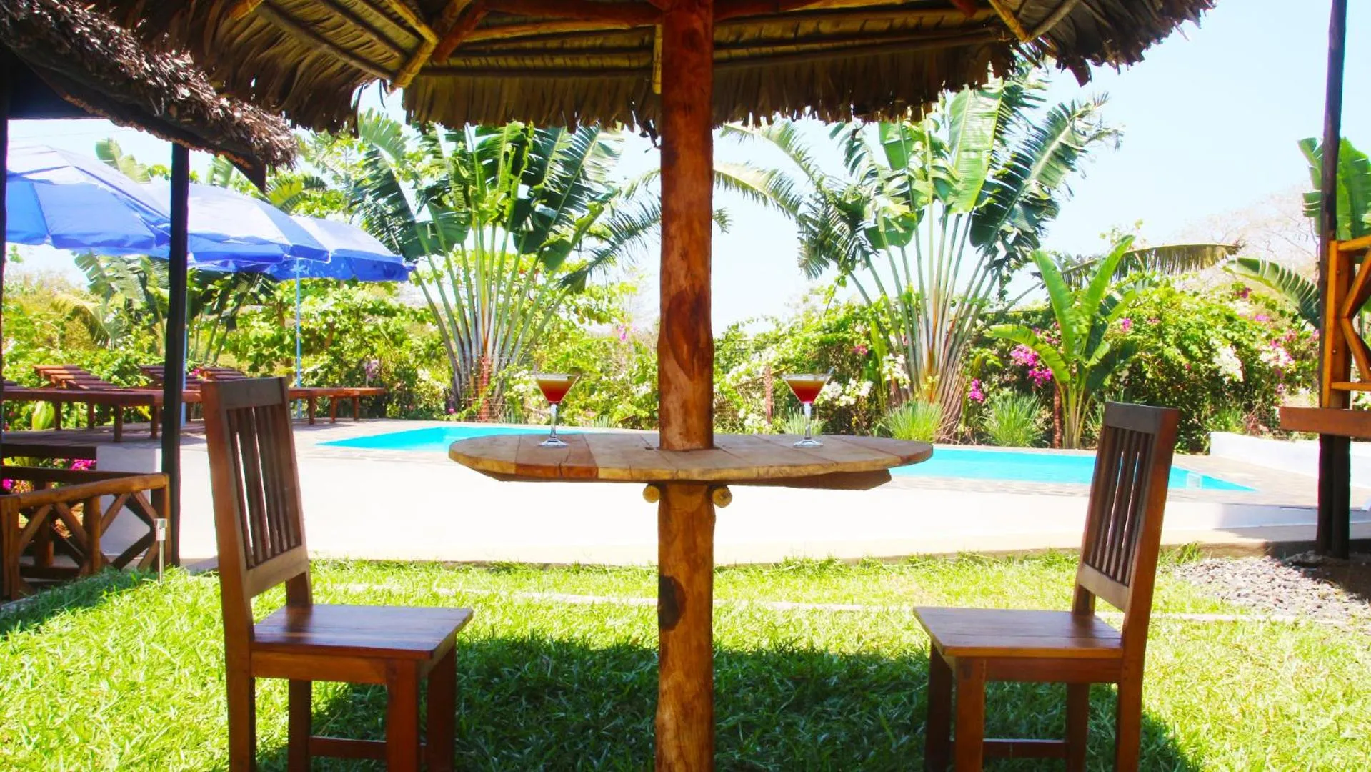 Bungalows des tropiques