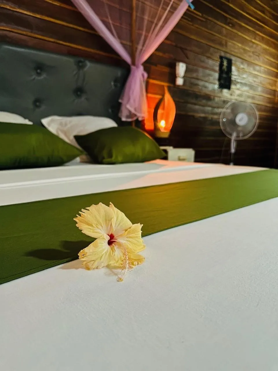 Bed in Bungalows des tropiques