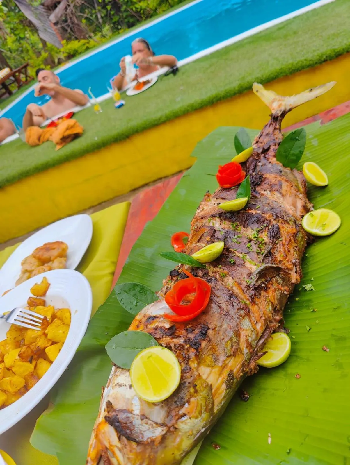 Bungalows des tropiques