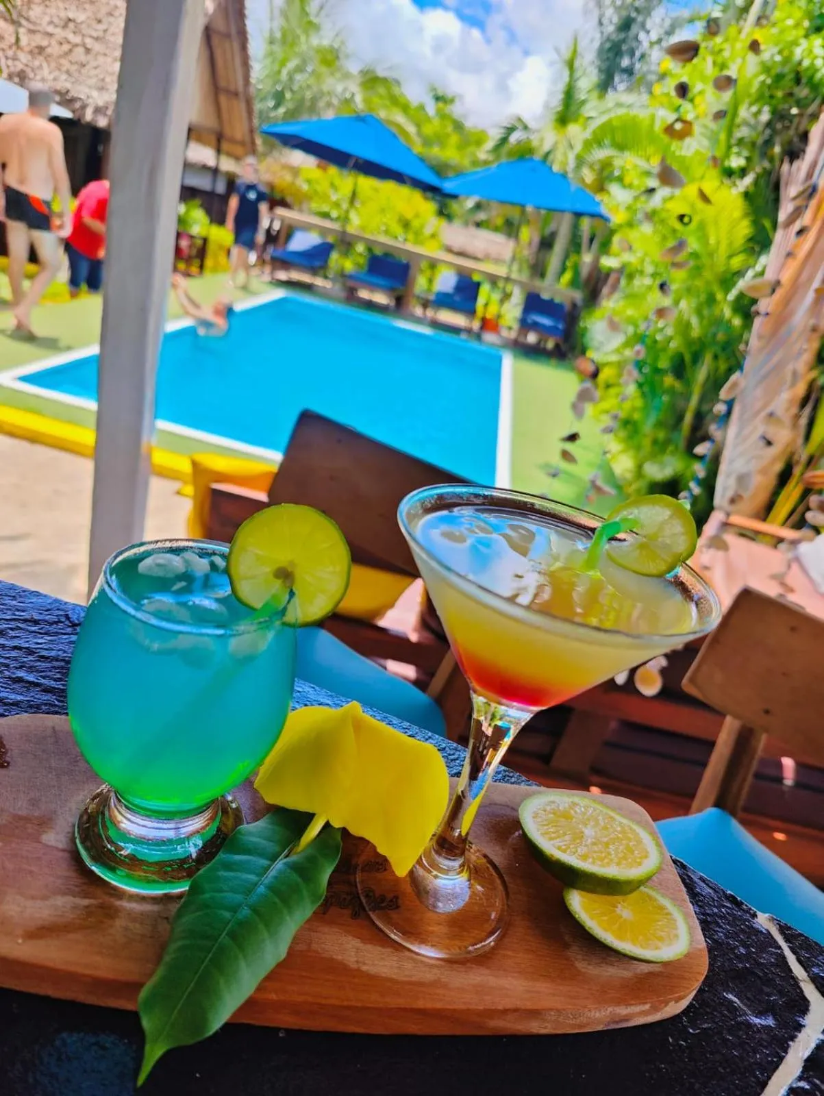 Bungalows des tropiques