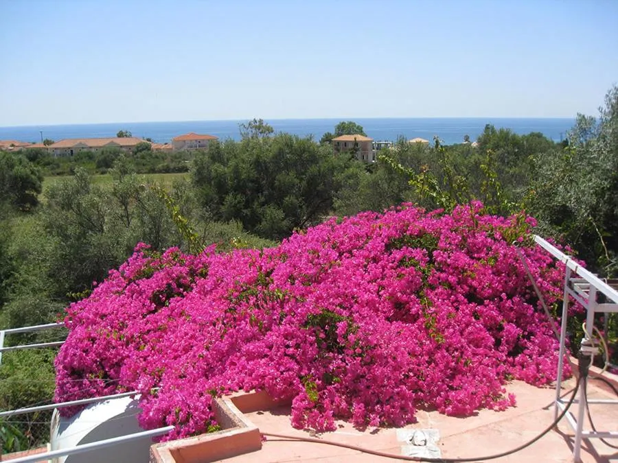 Garden view in Paradise Studios