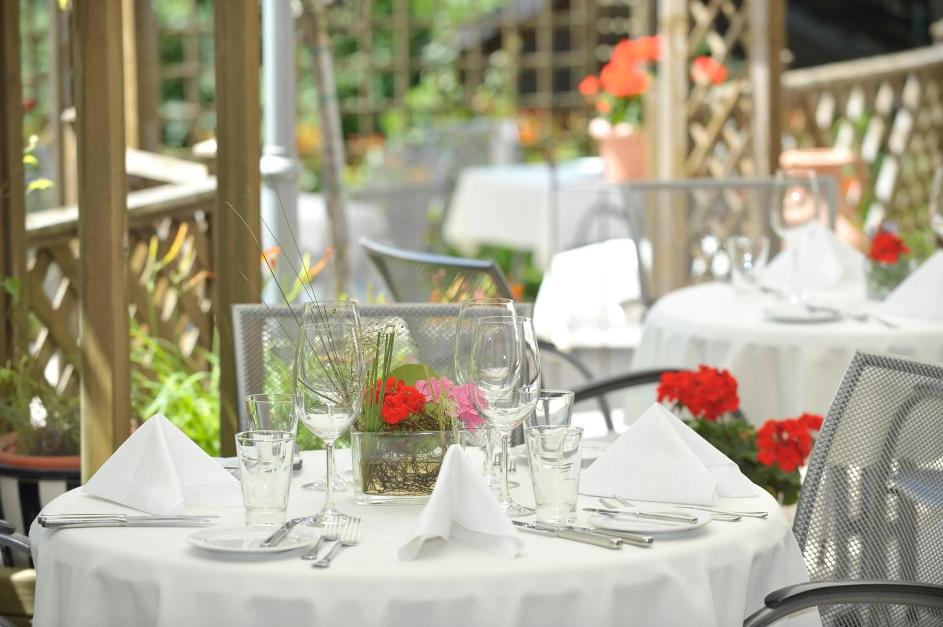 Balcony/Terrace in Hotel Monika