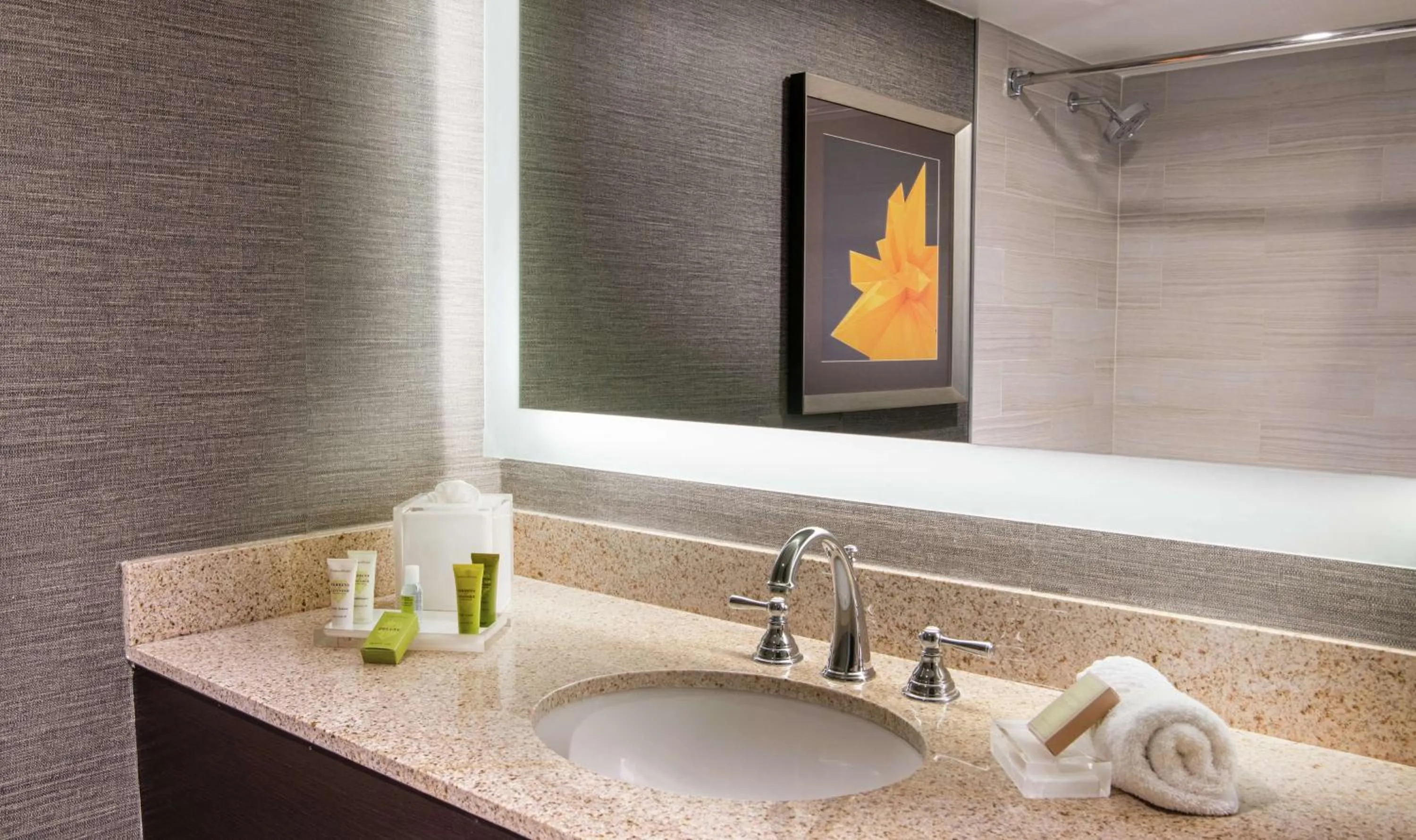 Bathroom in Hilton Parsippany