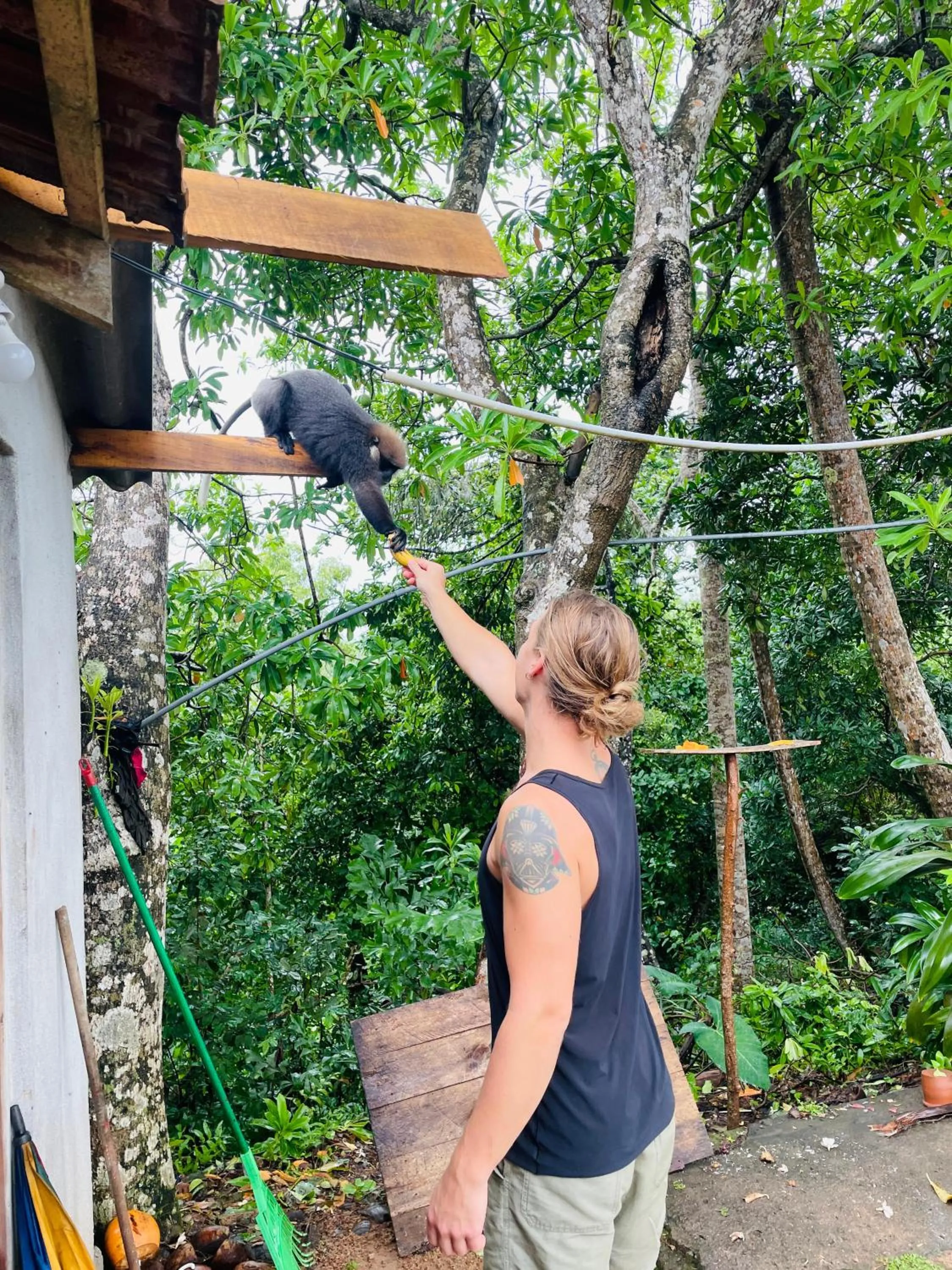 Natural landscape in Sky Mountain Café with seaview