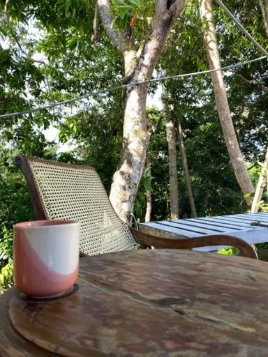 Garden view in Sky Mountain Café with seaview