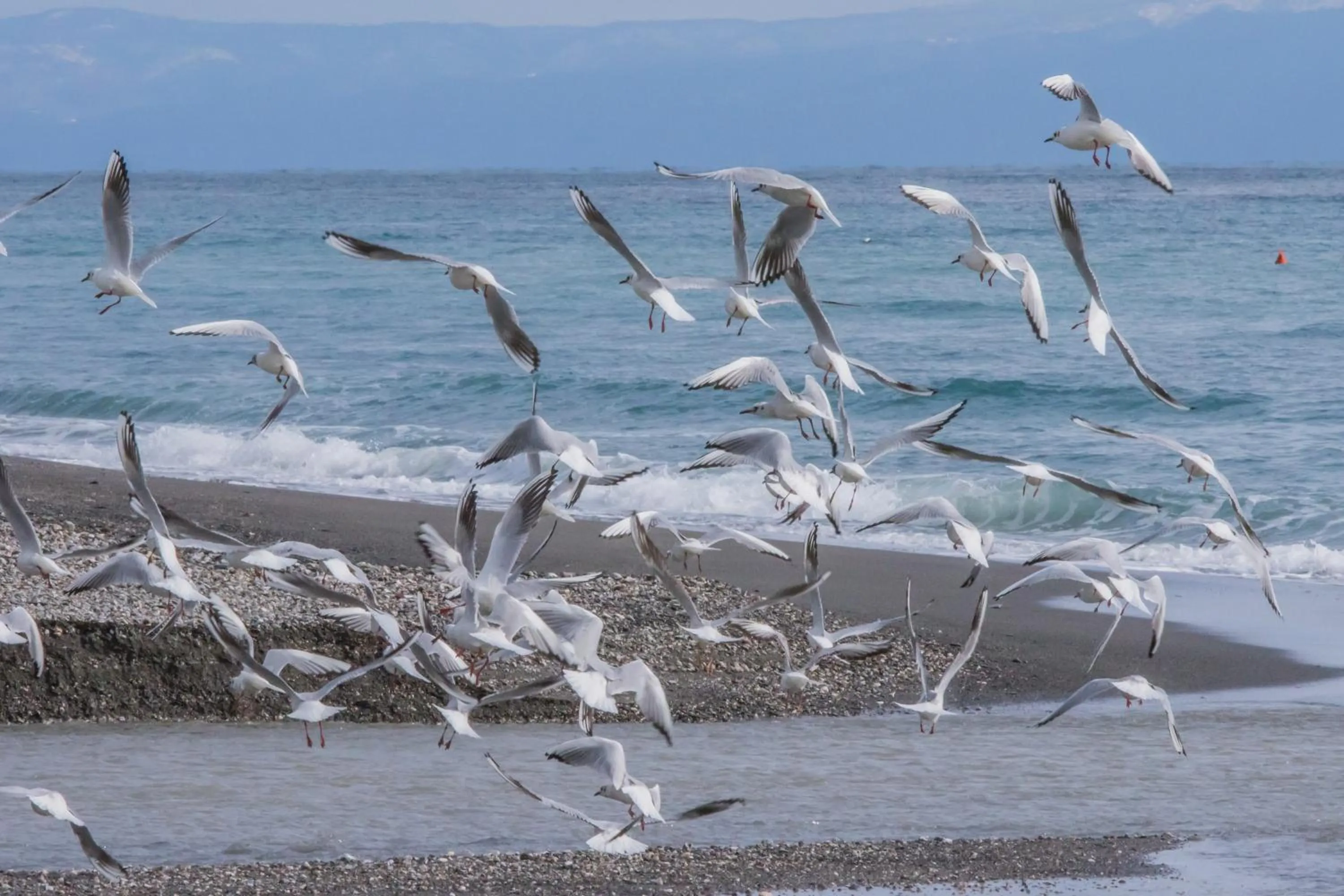 Day in Camping La Focetta Sicula