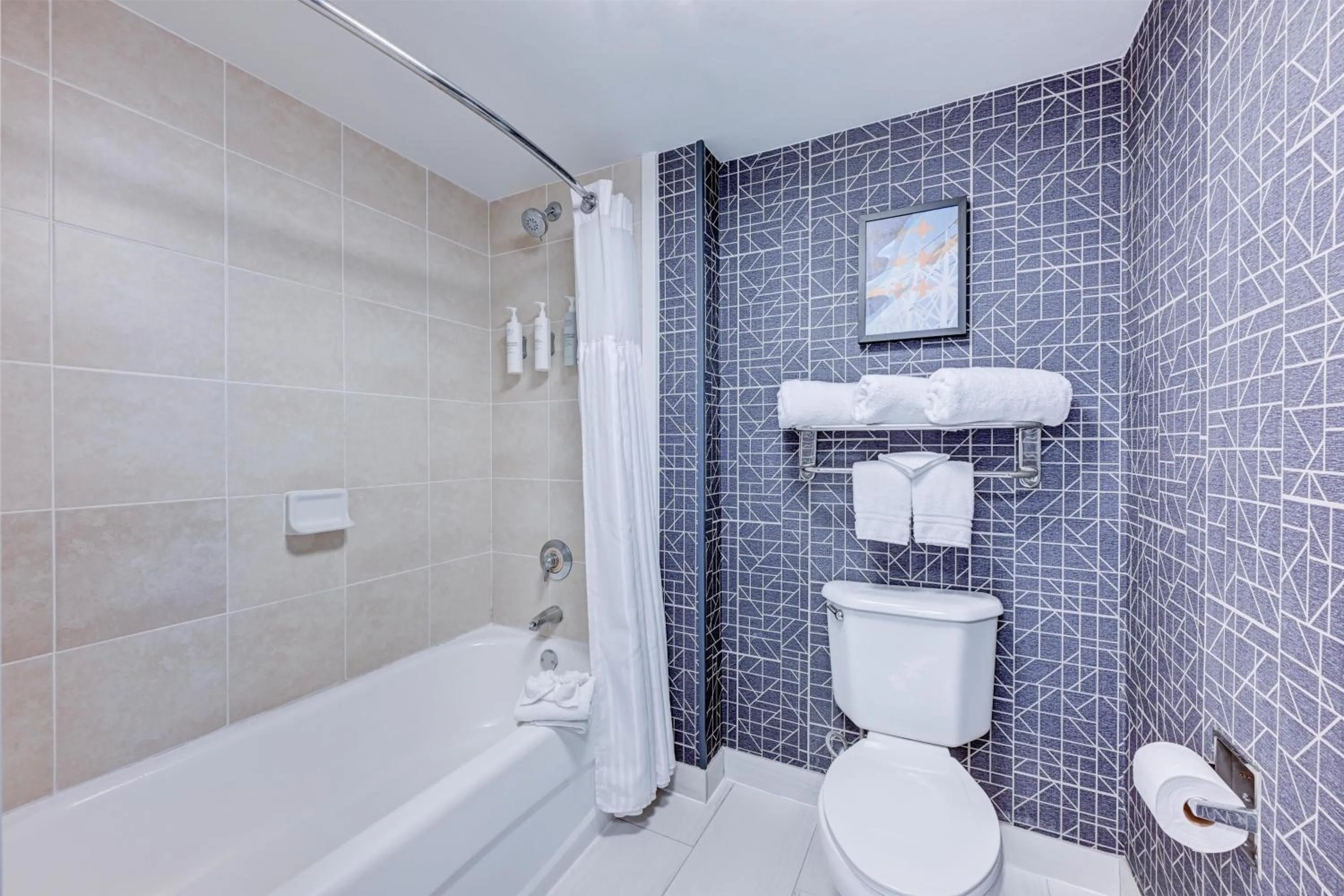 Bathroom in Homewood Suites by Hilton-Anaheim