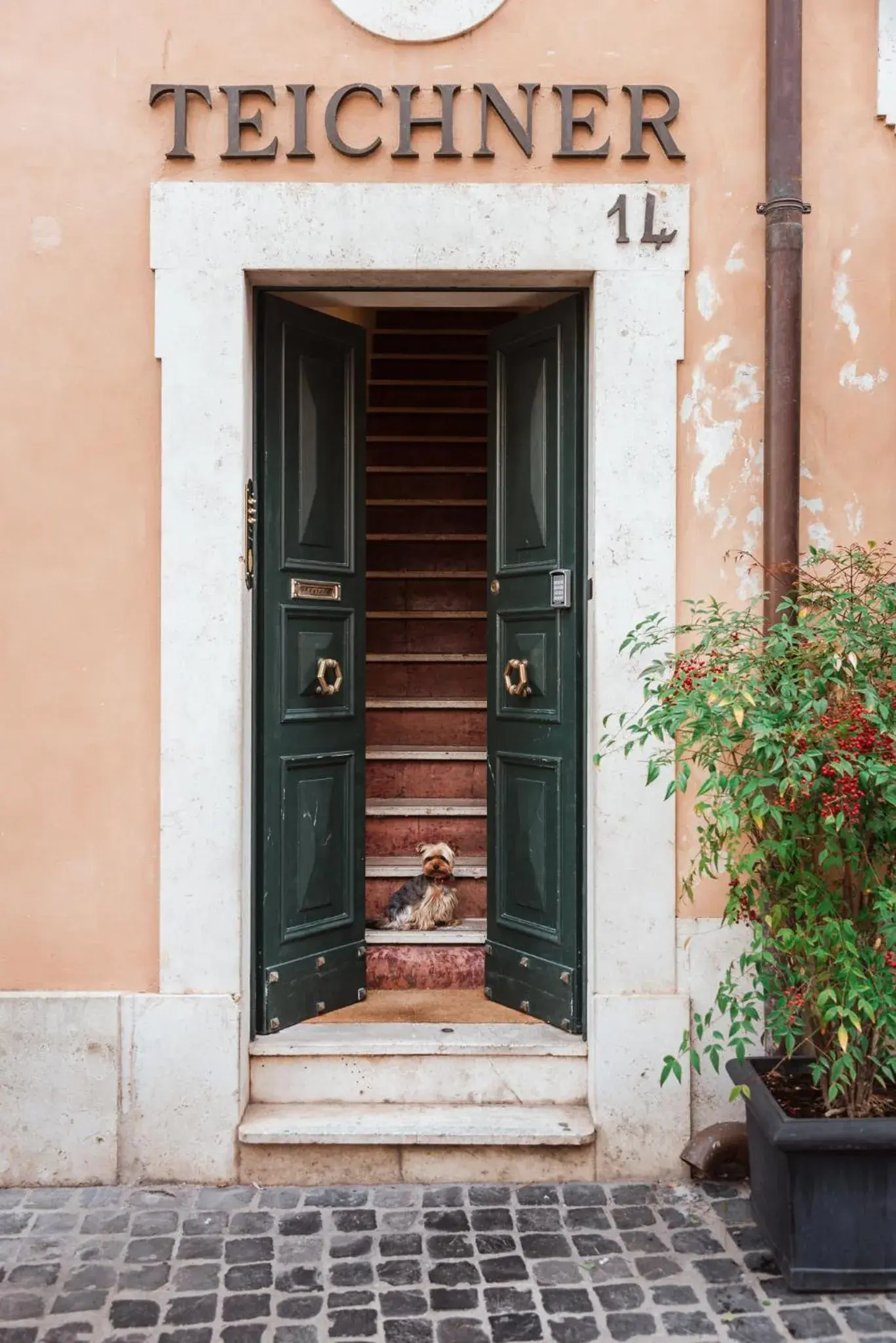 Facade/entrance in Teichnersuite Facade/entrance in Teichnersuite