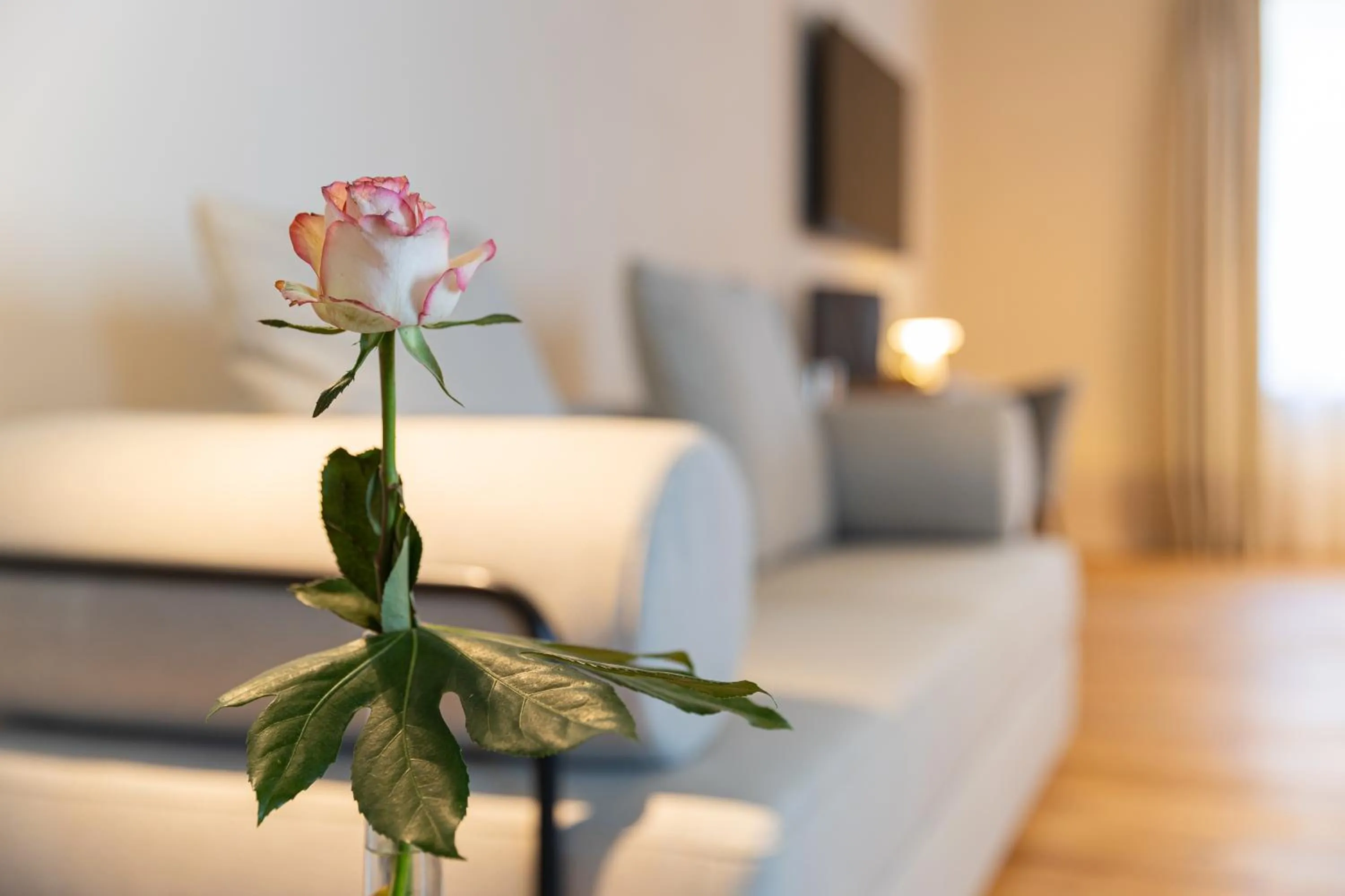 Boutique Hotel grüner Zweig