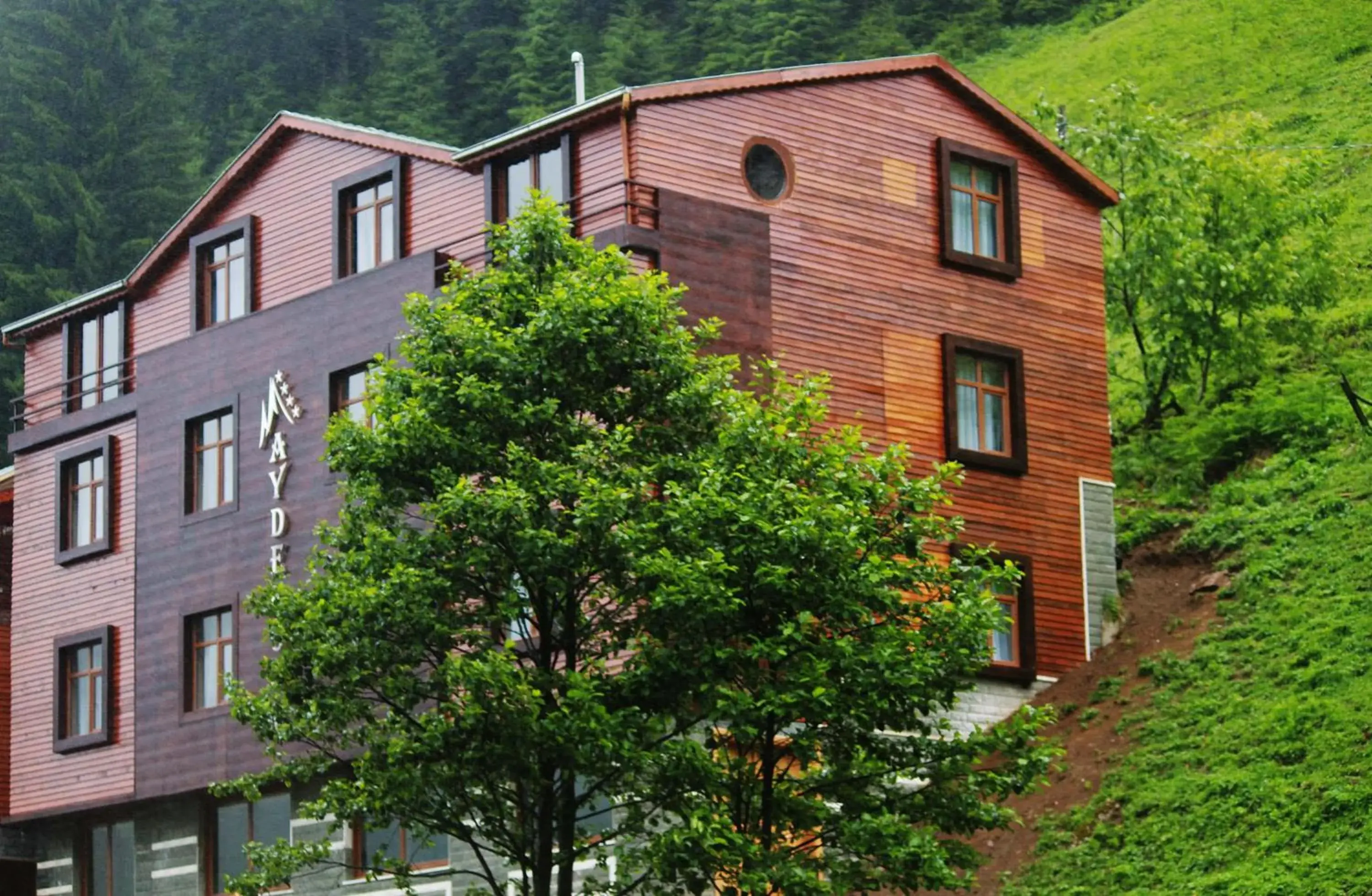 Facade/entrance in Ayderoom Hotel Facade/entrance in Ayderoom Hotel