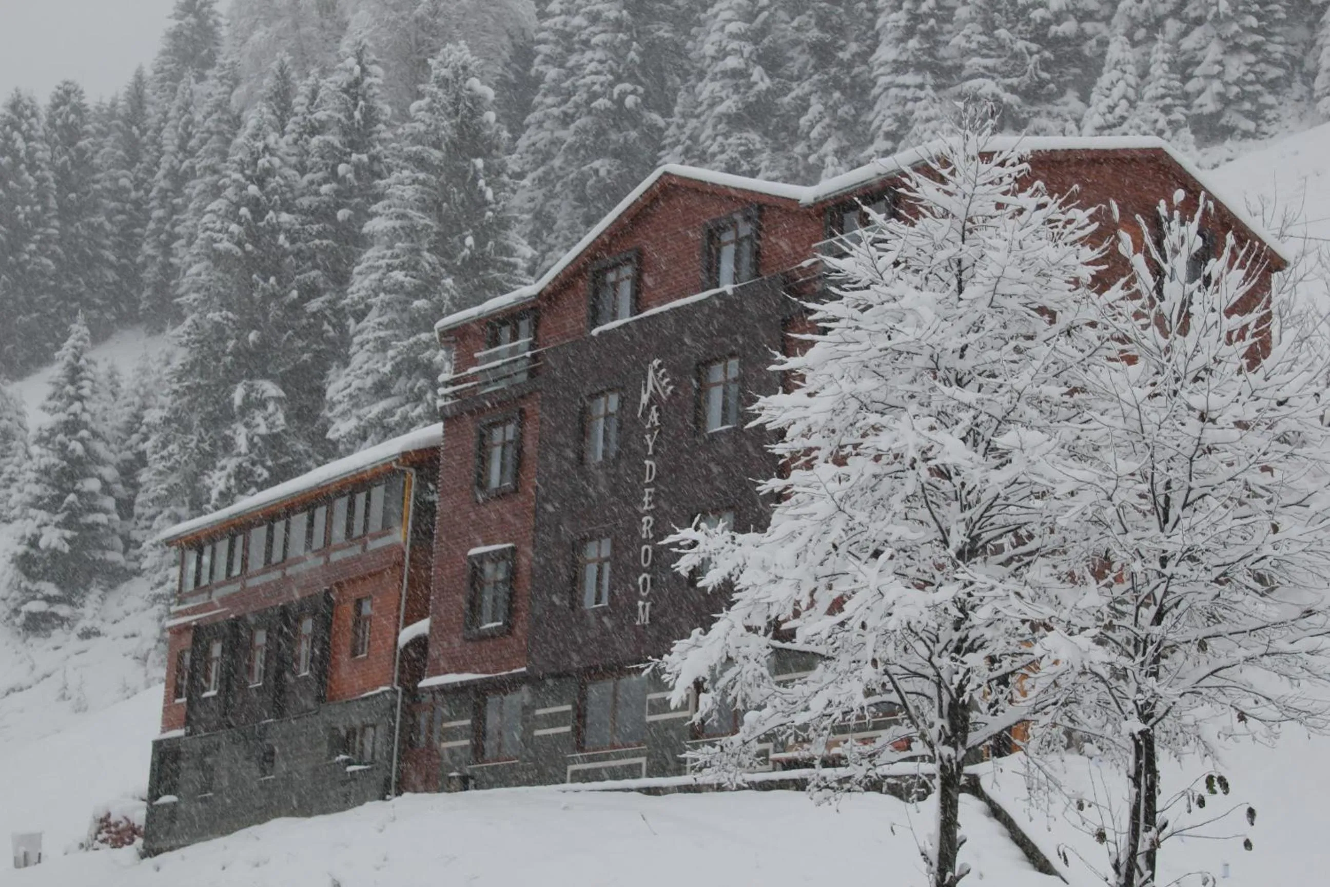 Facade/entrance in Ayderoom Hotel