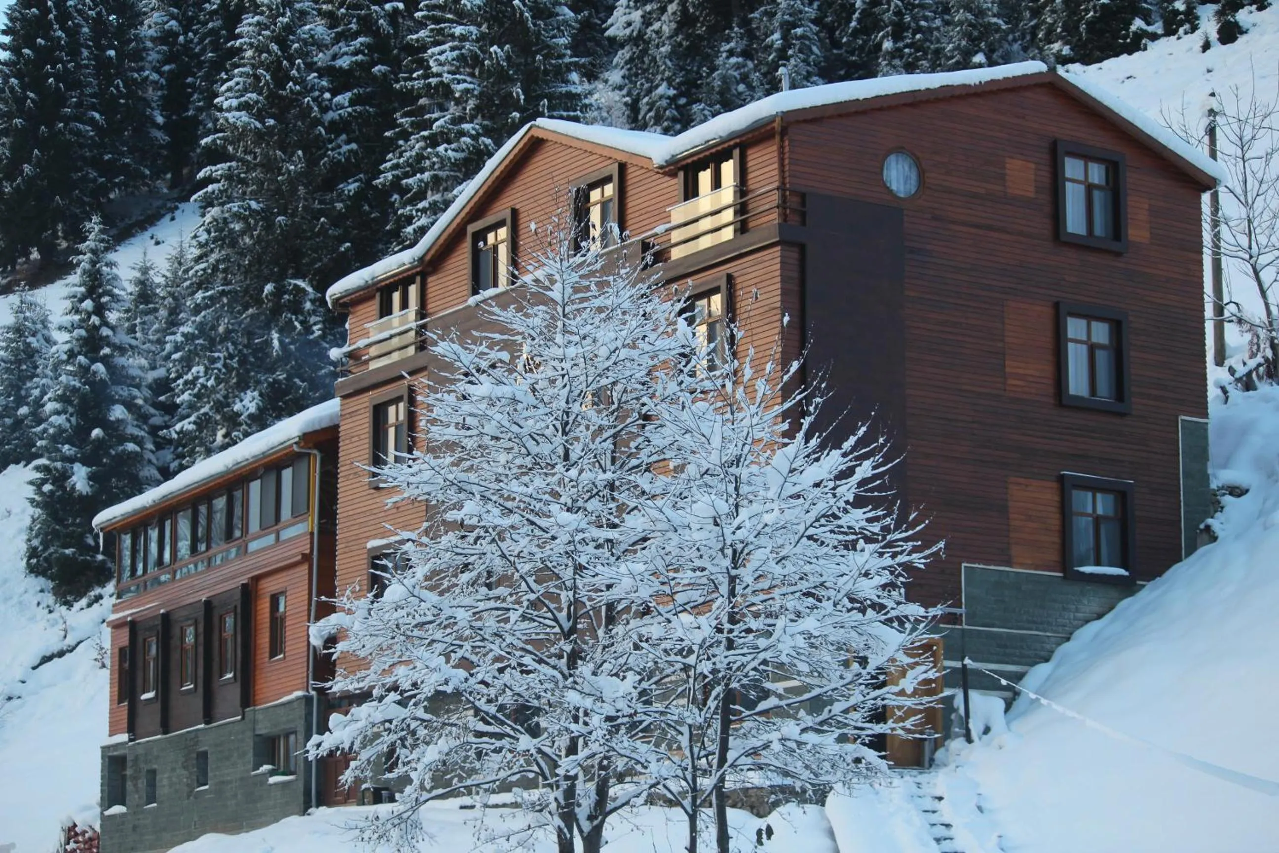 Off site in Ayderoom Hotel