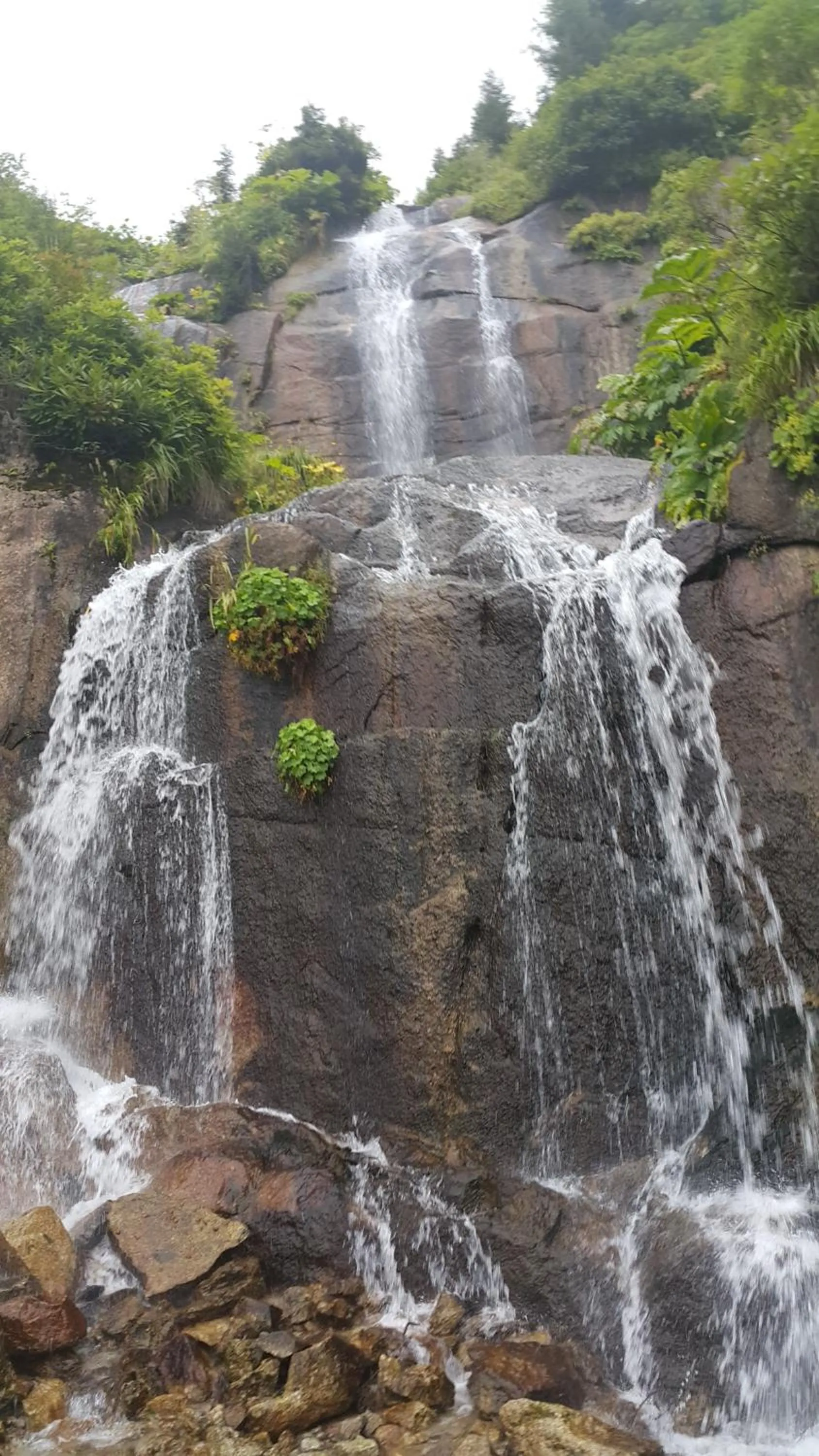 Off site in Ayderoom Hotel