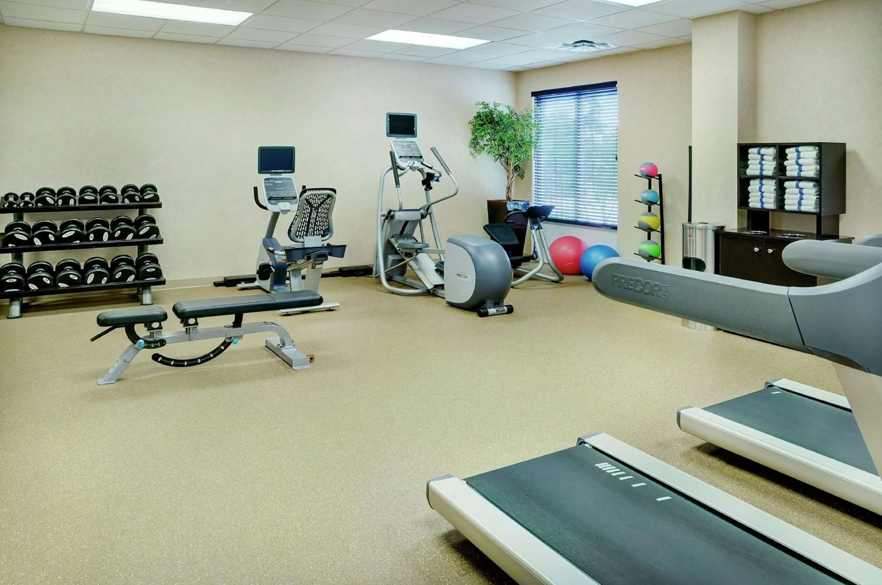 Fitness centre/facilities in Hilton Garden Inn Toronto/Burlington