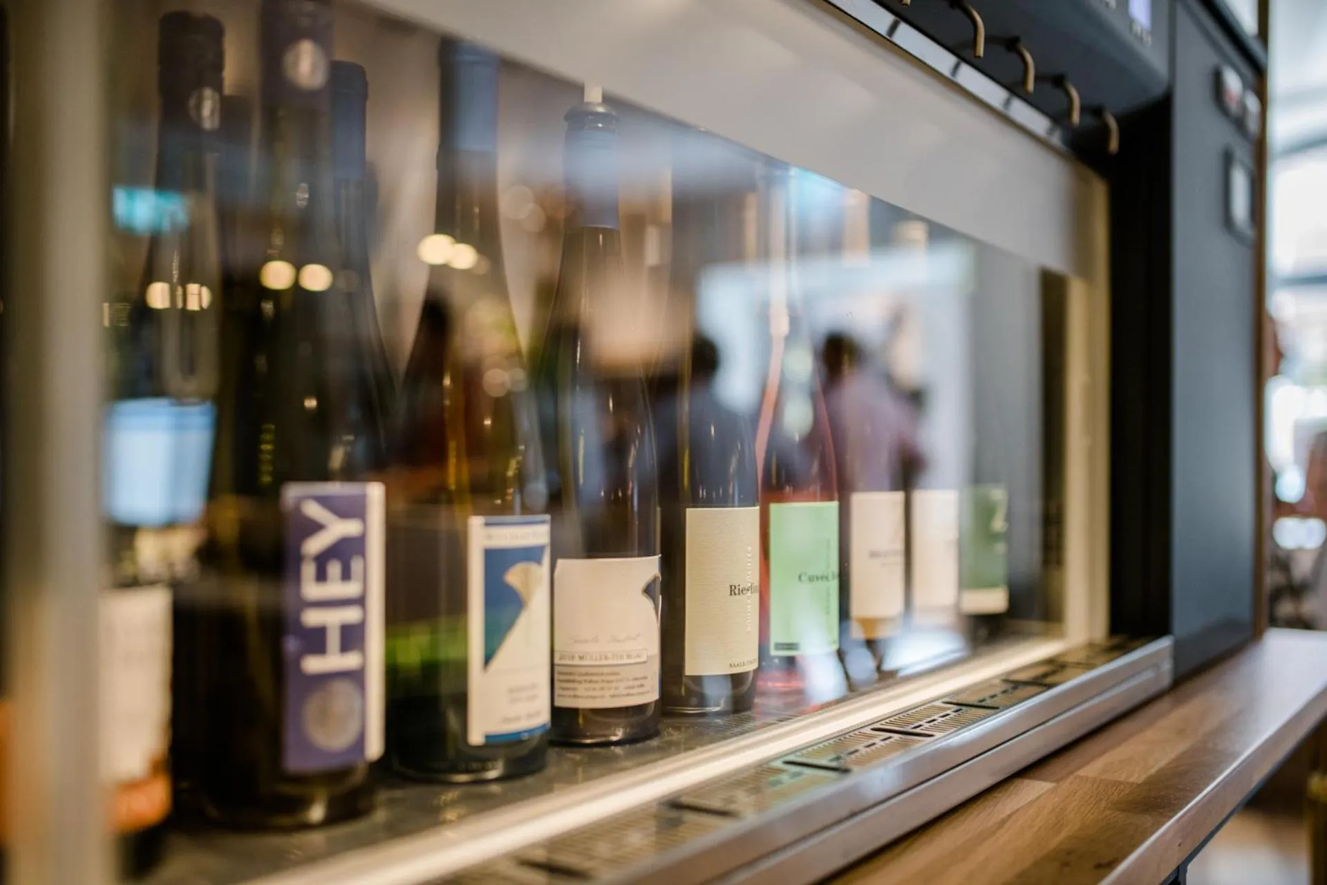 Nightclub / DJ in Weinhotel Freylich Zahn