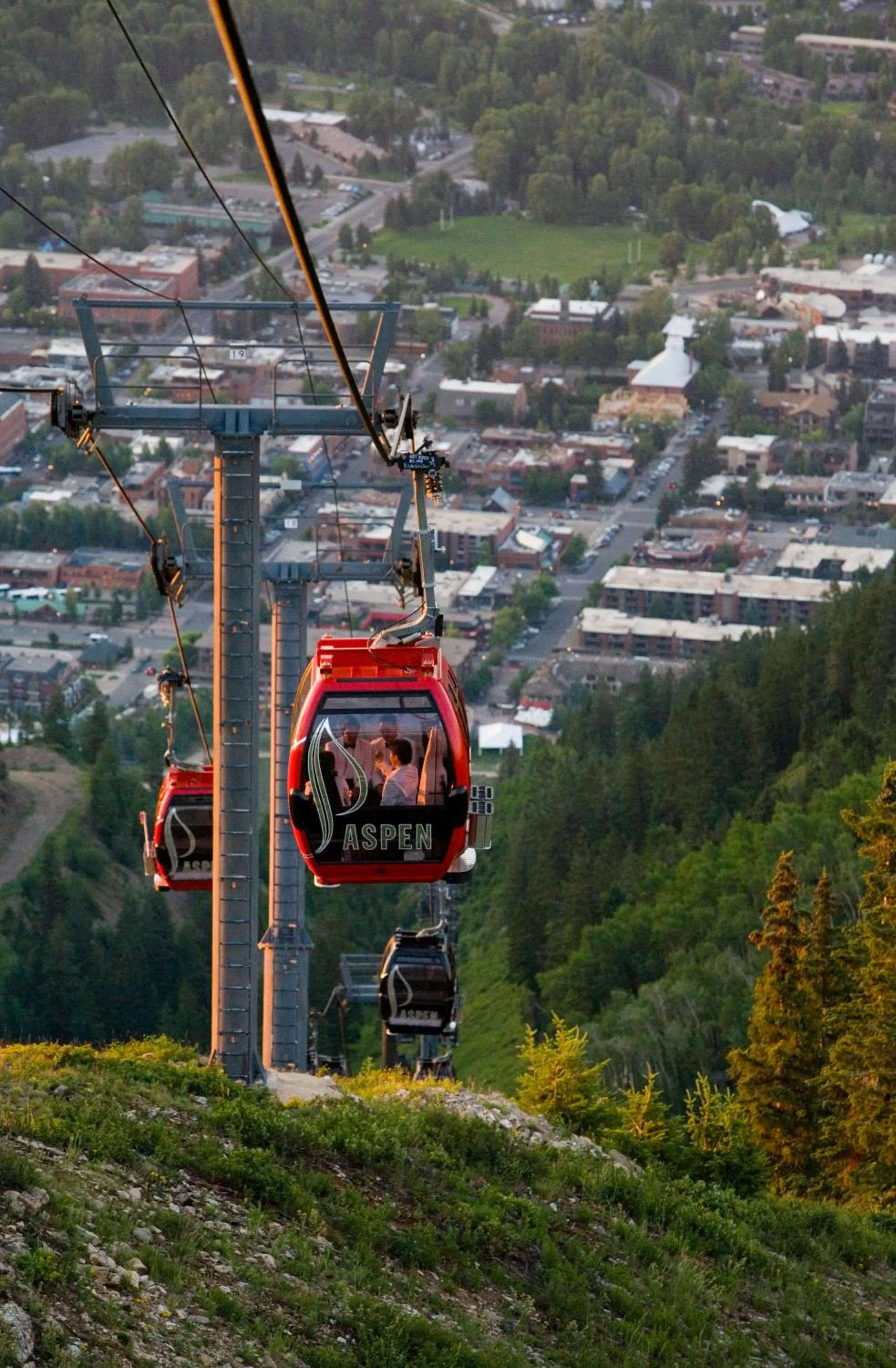 Other in The Little Nell