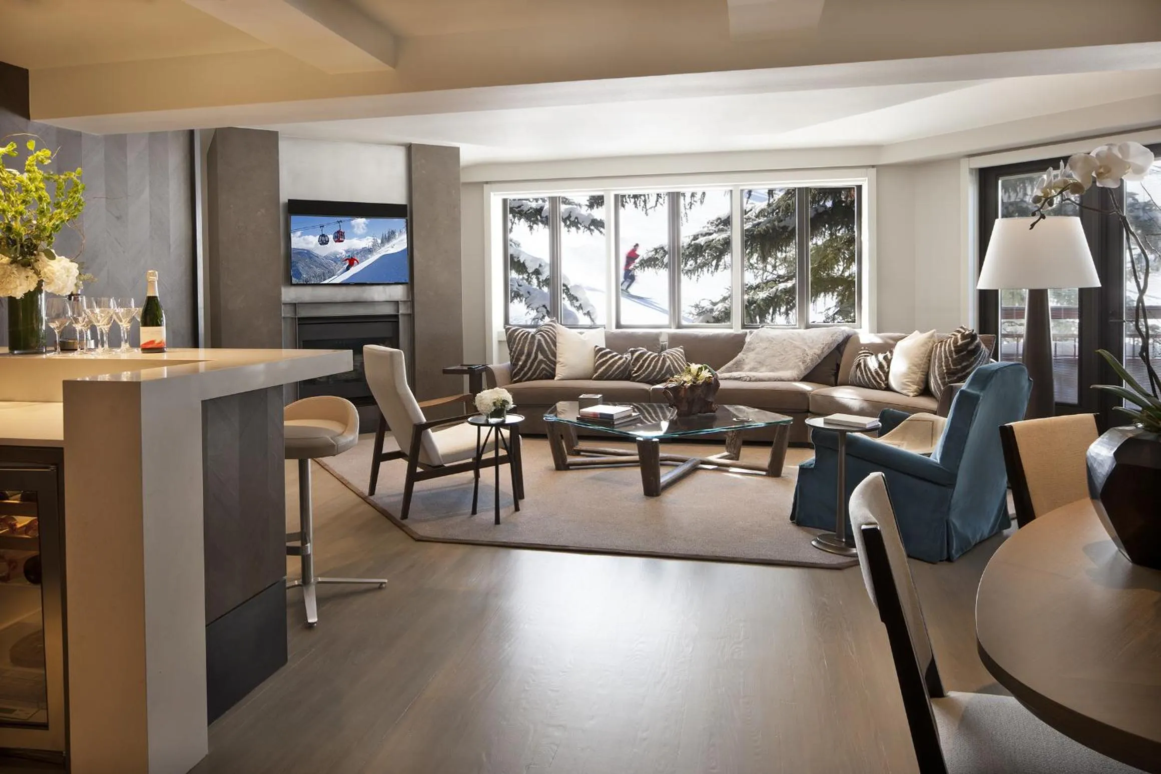 TV and multimedia in The Little Nell